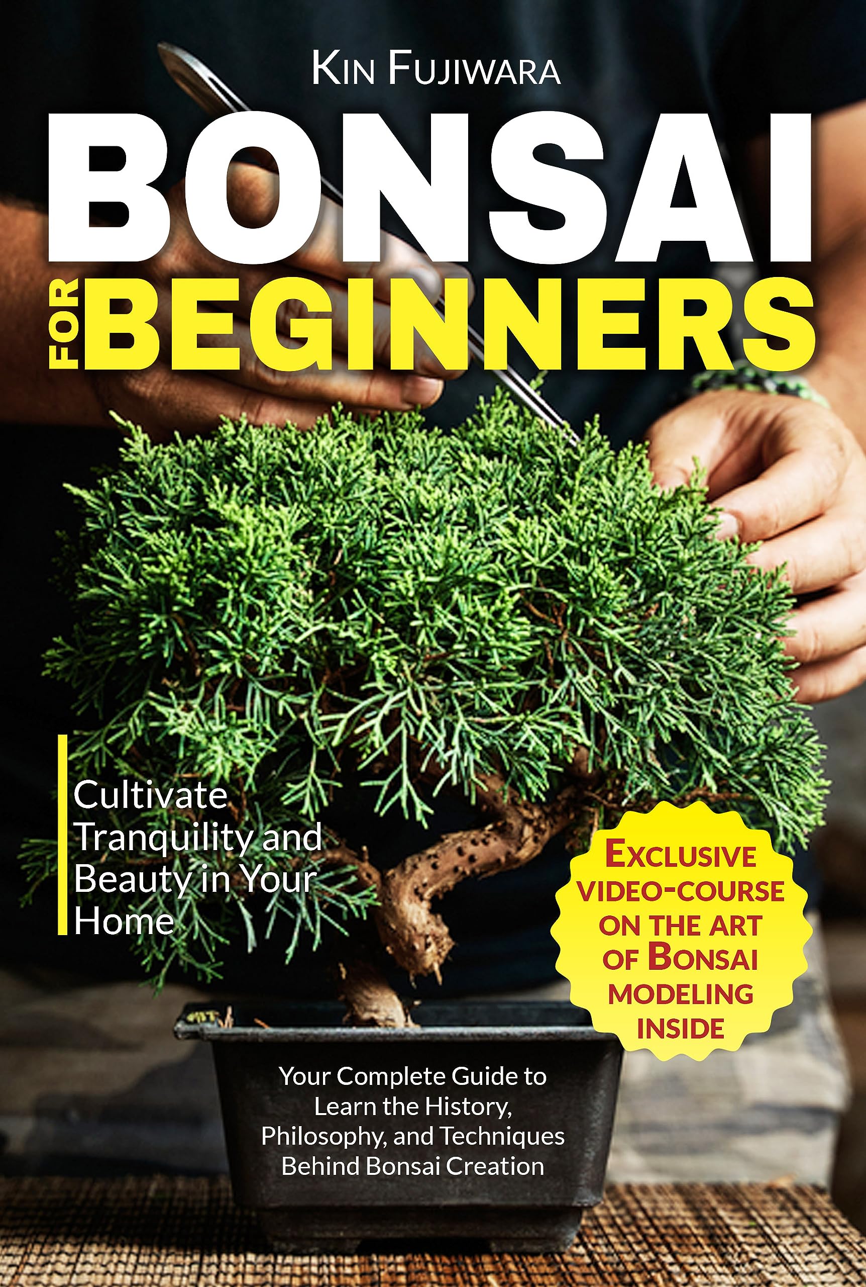 Bonsai For Beginners Cultivate Tranquility and Beauty in Your Home