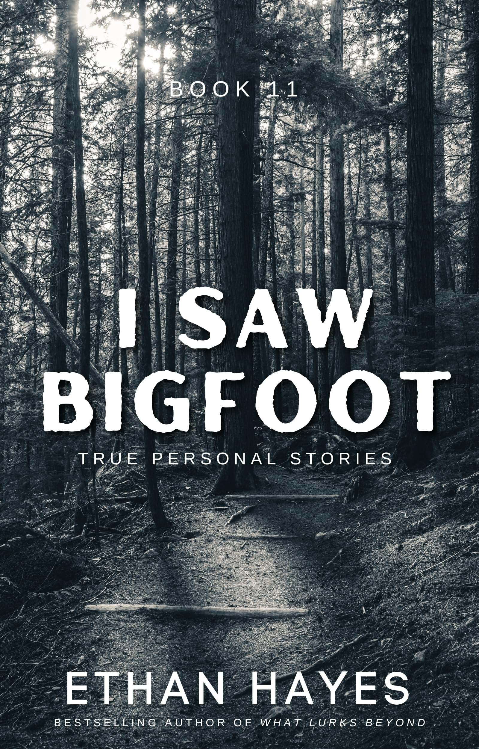 I Saw Bigfoot: Book 11