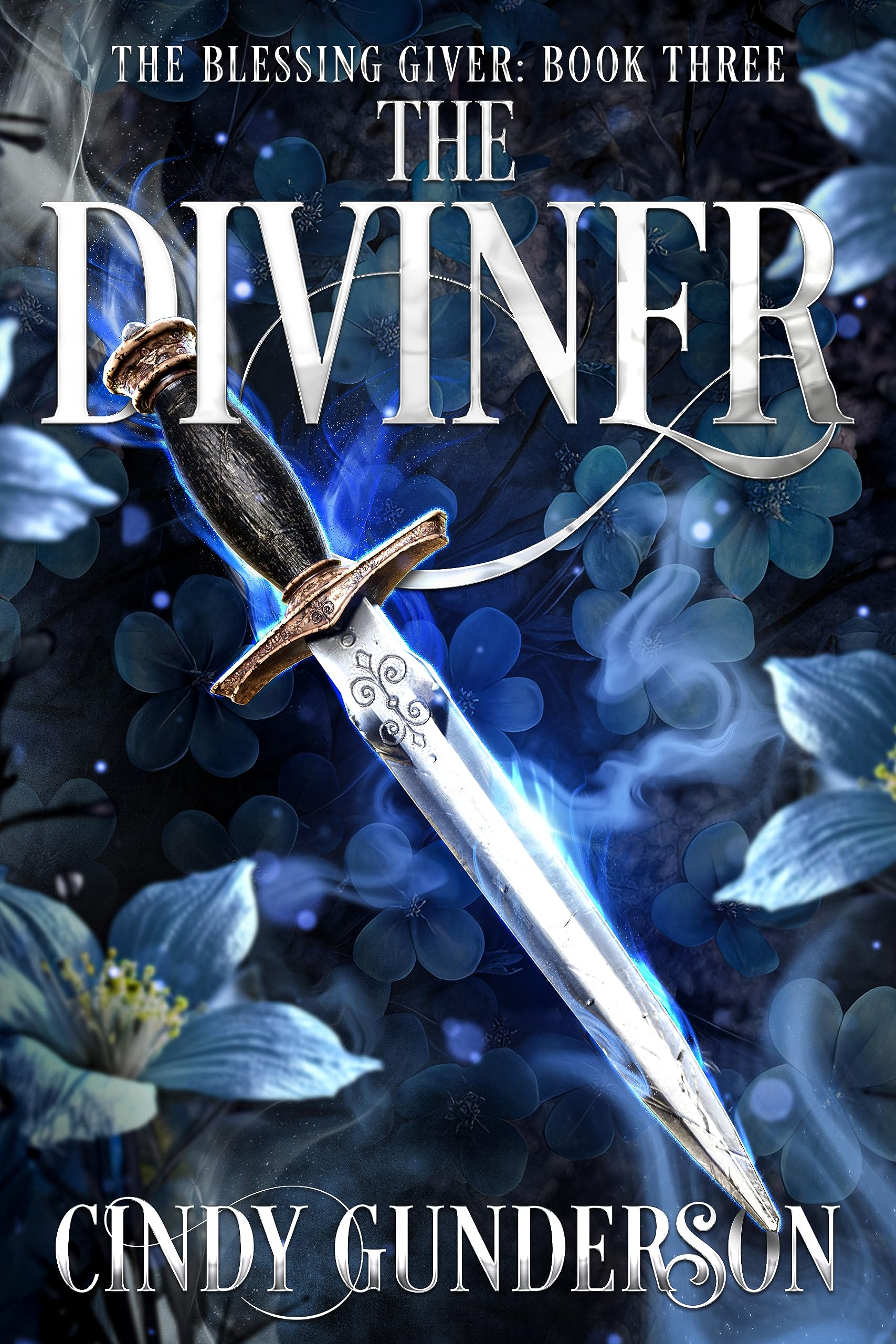 The Blessing Giver book cover 2