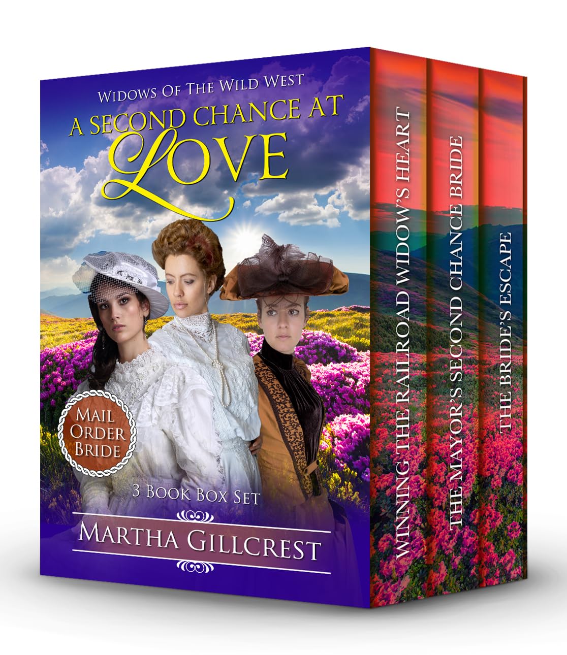 A Second Chance At Love 3 Book Box Set: Widows Of The Wild West