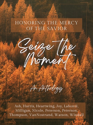 Seize the World book cover 3