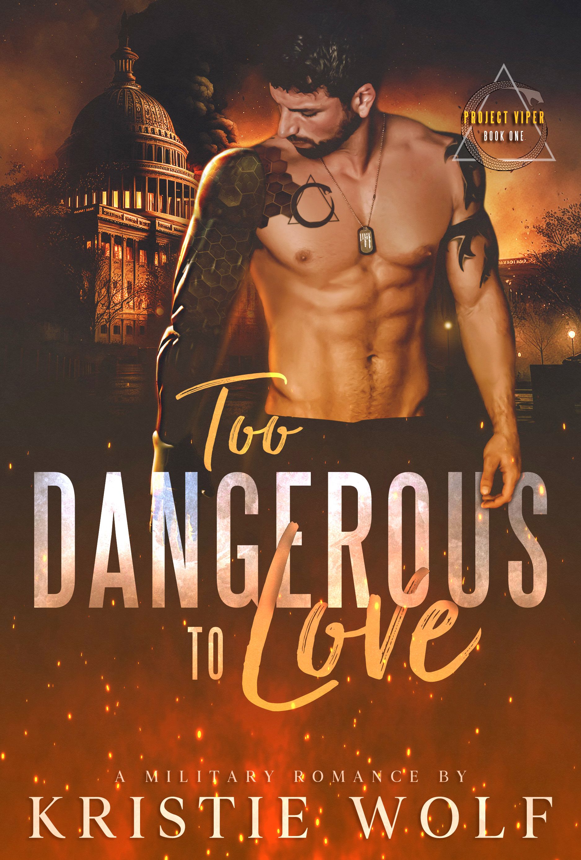 Too Dangerous to Love