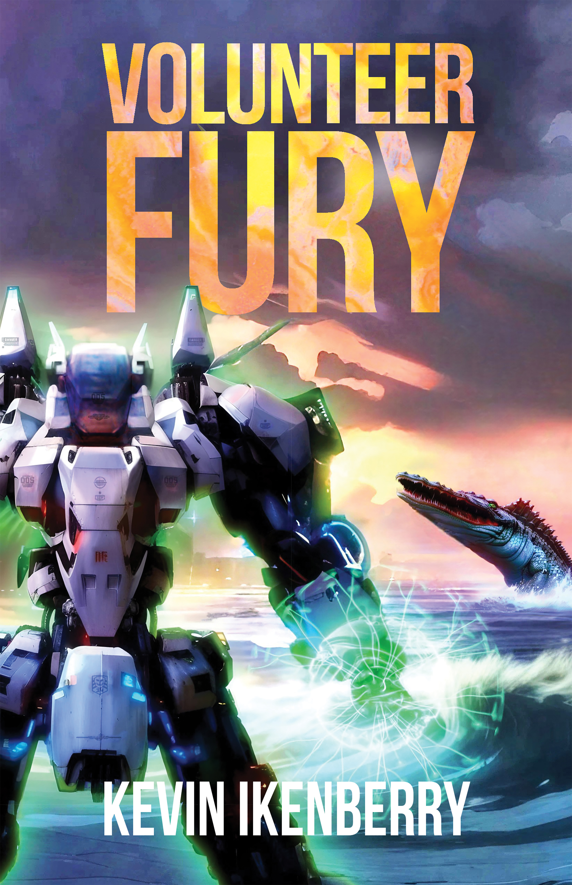 Volunteer Fury
