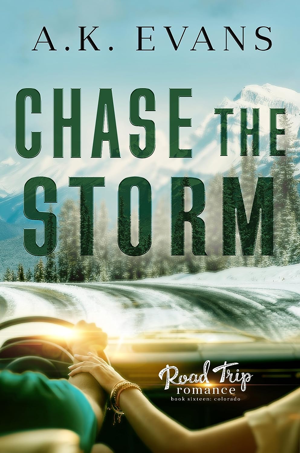 Chase the Storm book cover