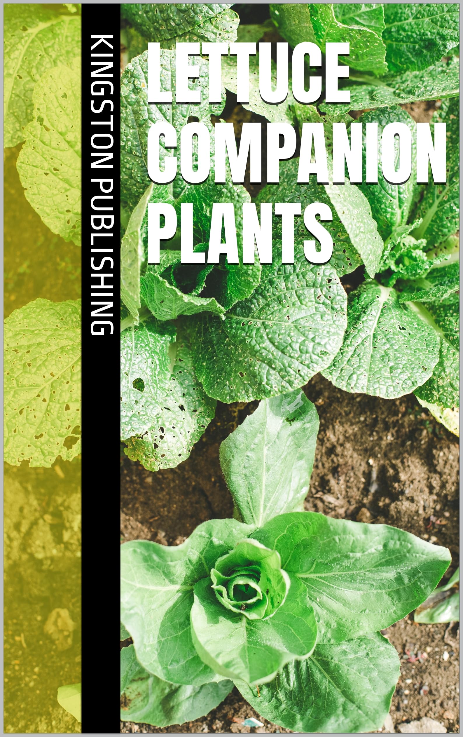 Lettuce Companion Plants Planting) by Kingston Publishing