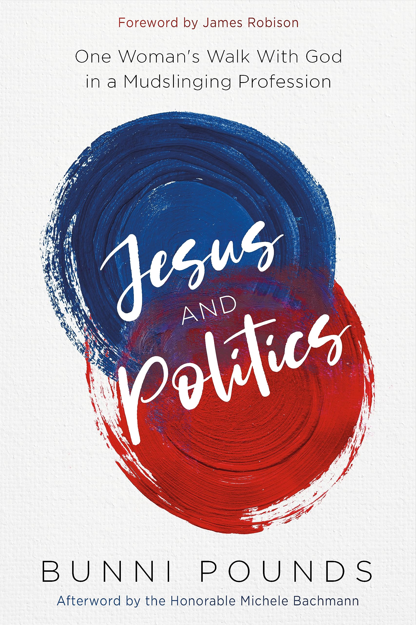 Jesus and Politics One Woman's Walk with God in a Mudslinging