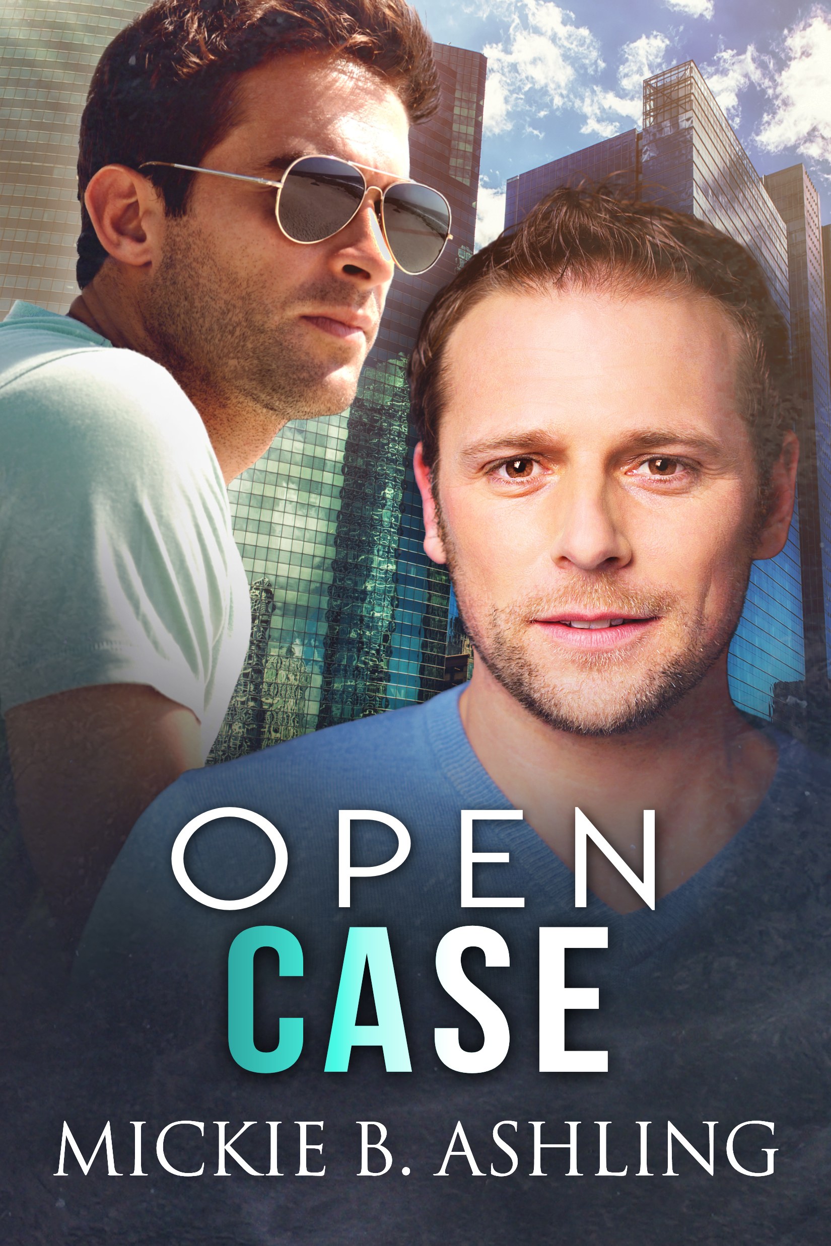 Open Case (Open, 3) by Mickie B. Ashling Goodreads