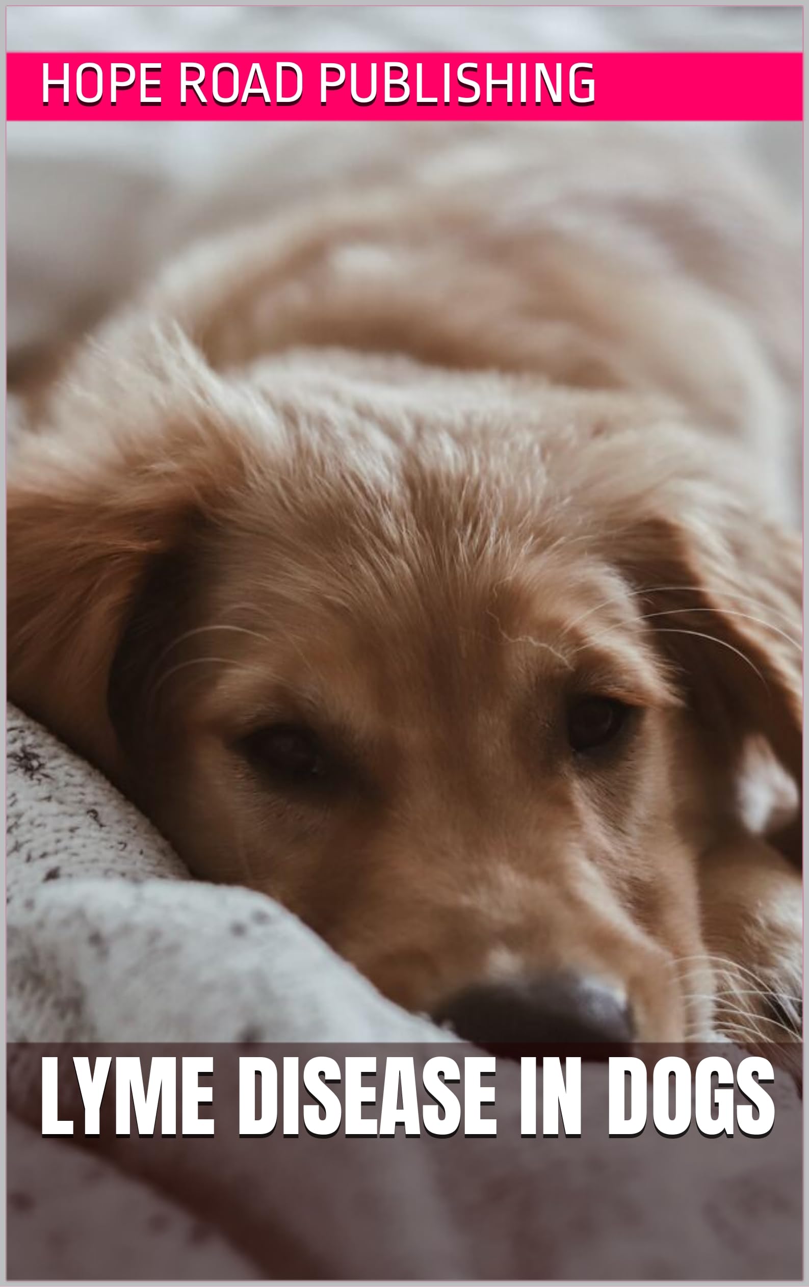 Lyme Disease in Dogs (Dog Care) by Hope Road Publishing Goodreads