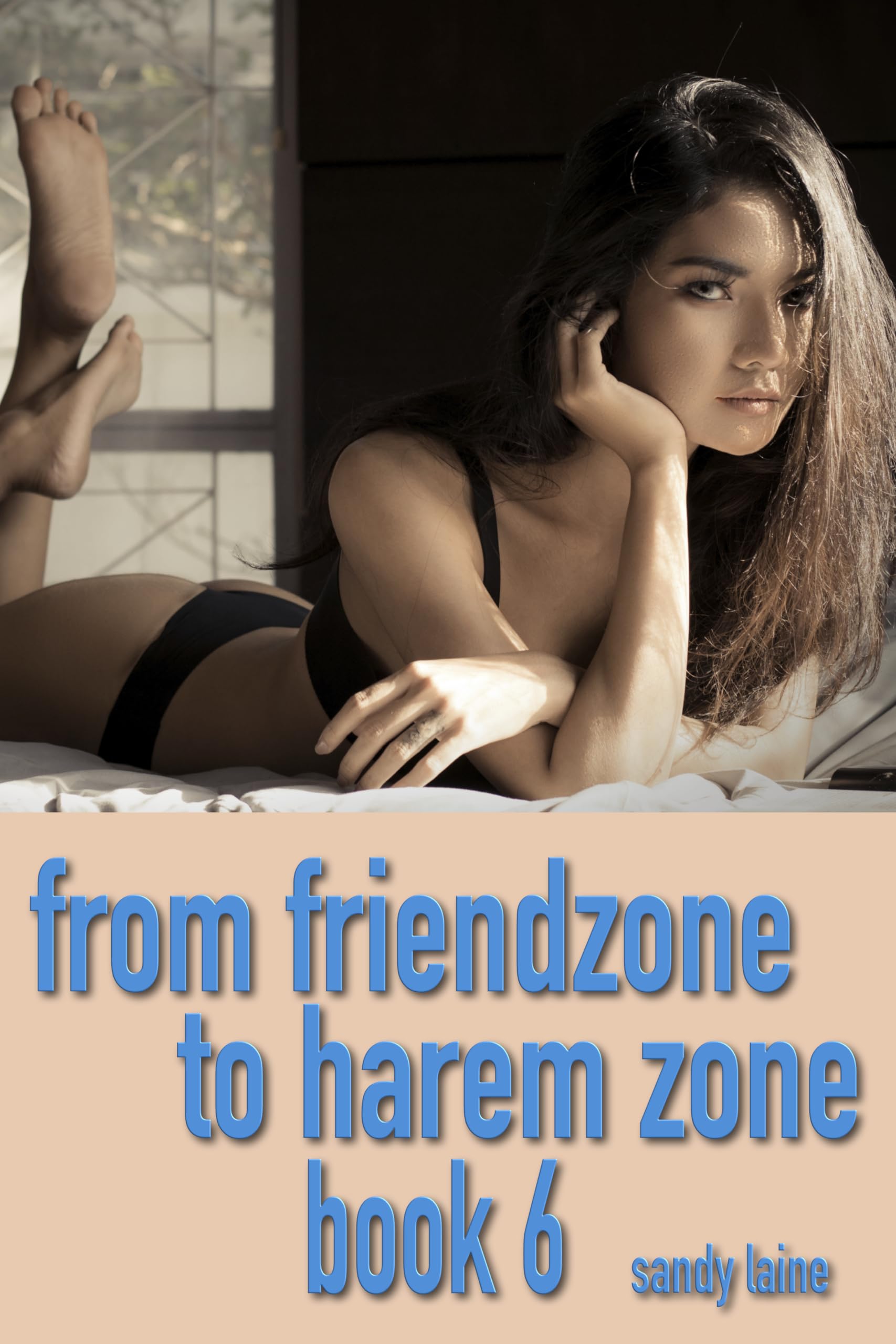 From friendzone to harem zone Book 6: A college fantasy