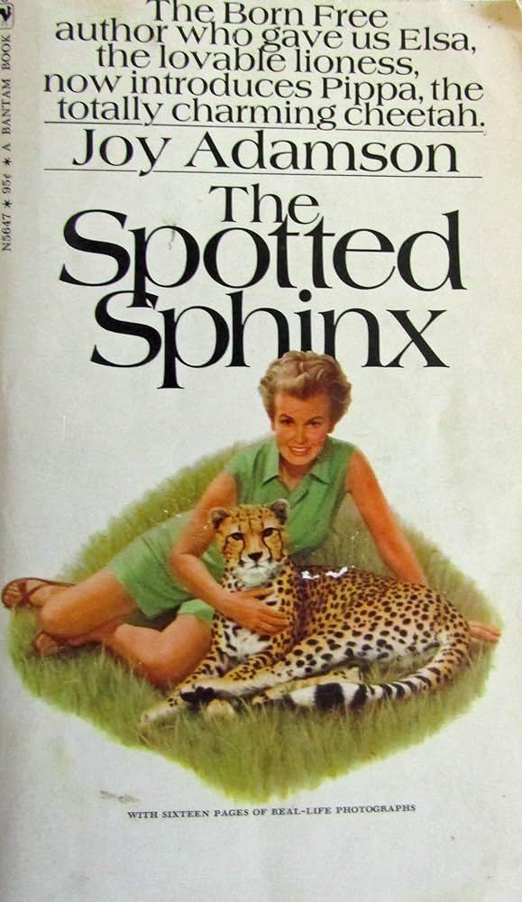 cover img of The Spotted Sphinx