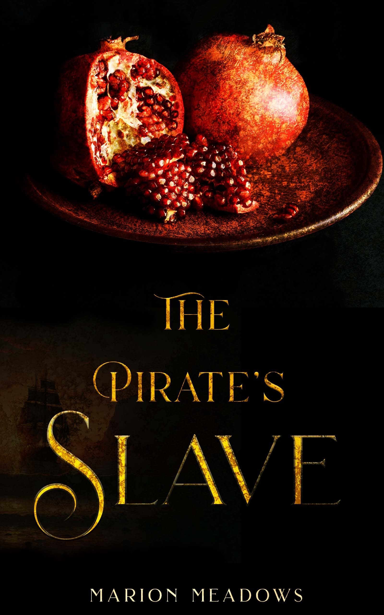 The Pirate's Slave