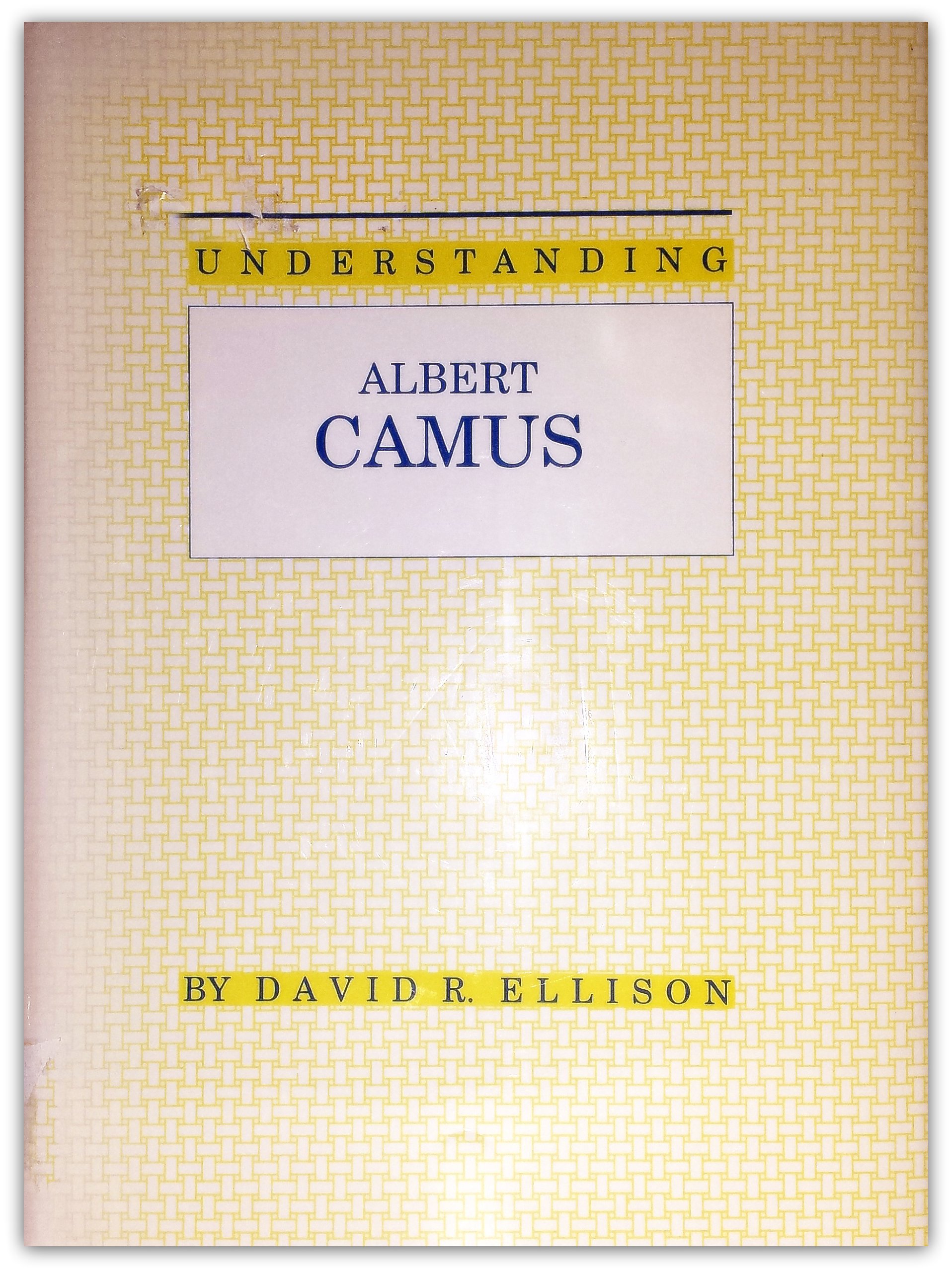 Understanding Albert Camus book cover