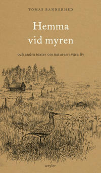 Hemma vid myren