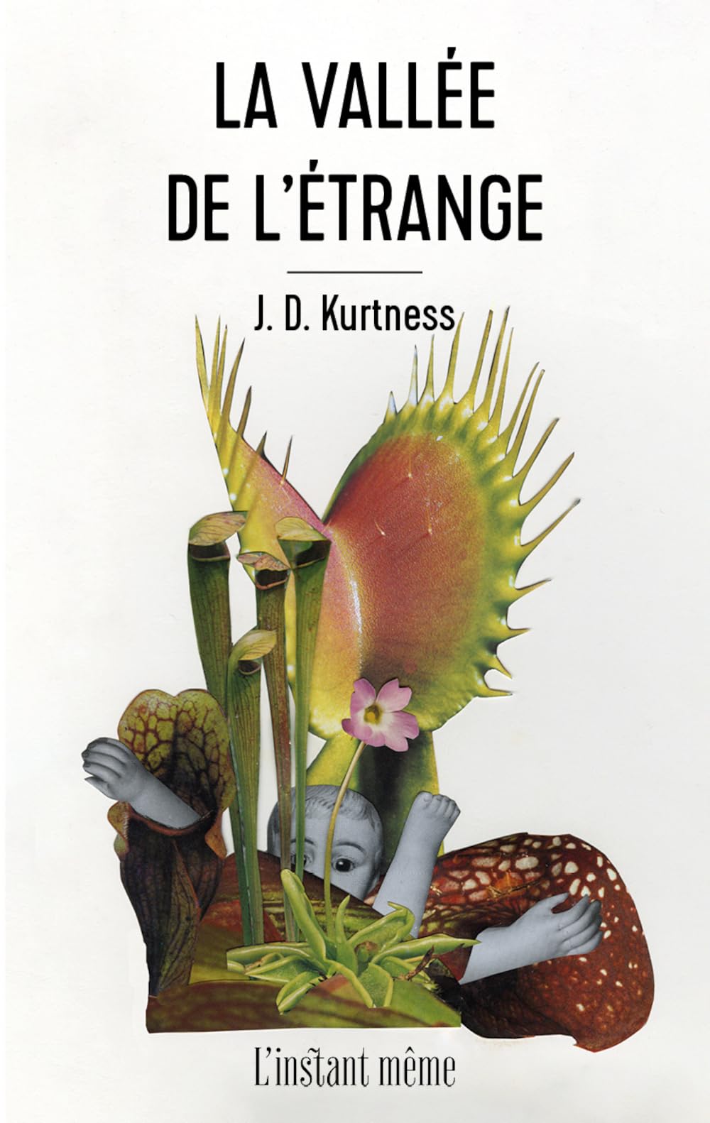 La vallée de l'étrange