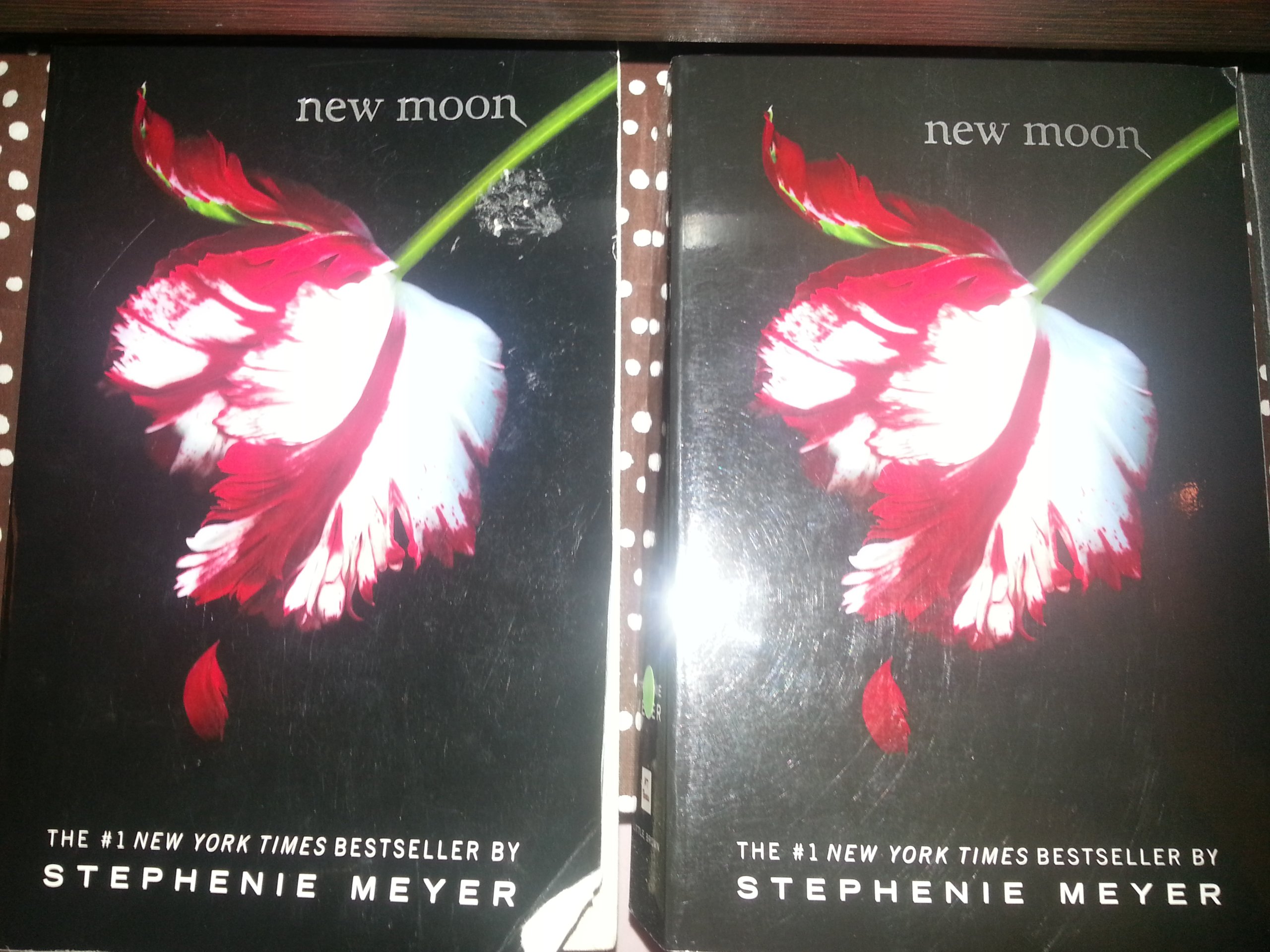 NEW MOON BY STEPHANIE MEYER
