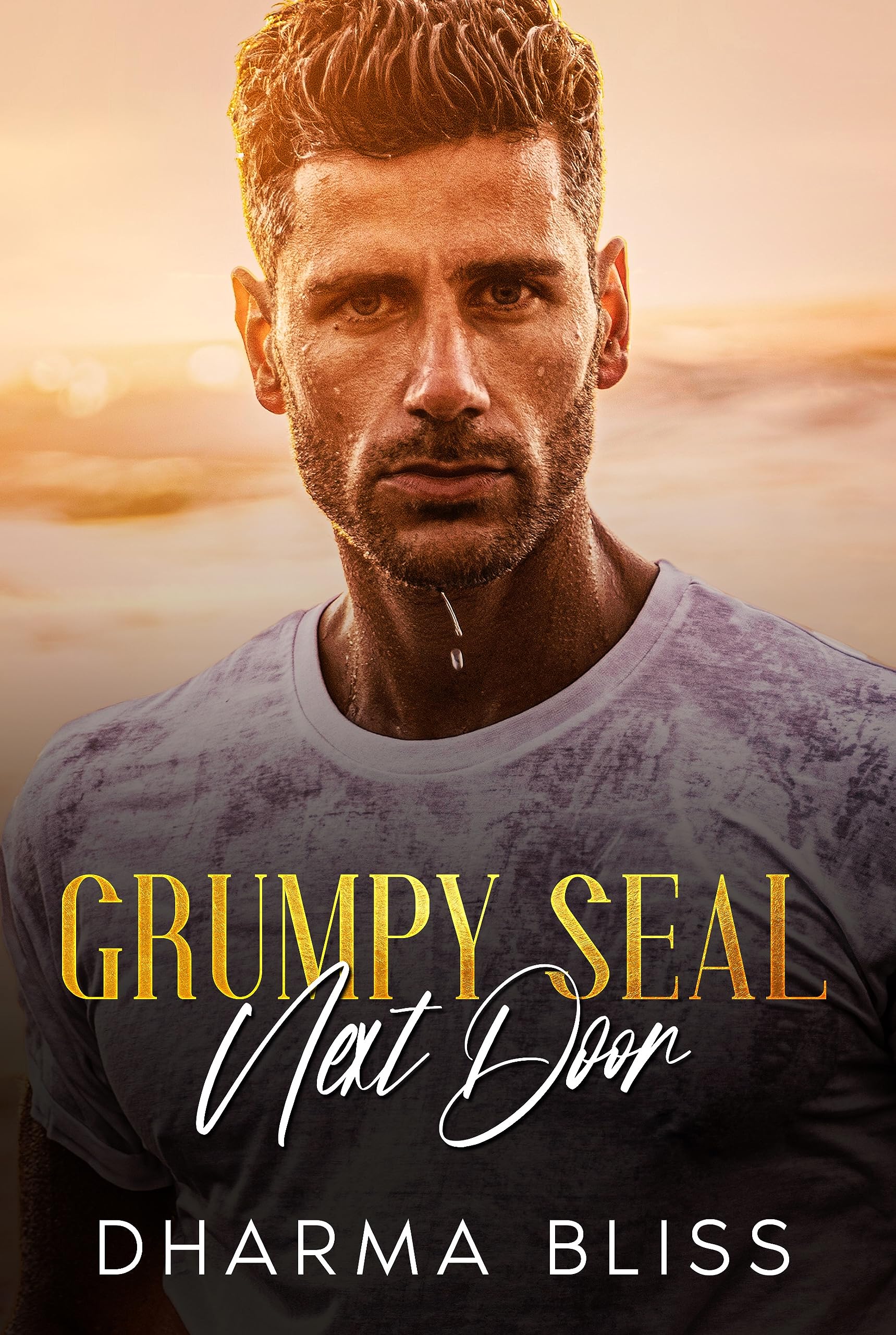 Grumpy SEAL Next Door Enemies to lovers, small town romance by Dharma