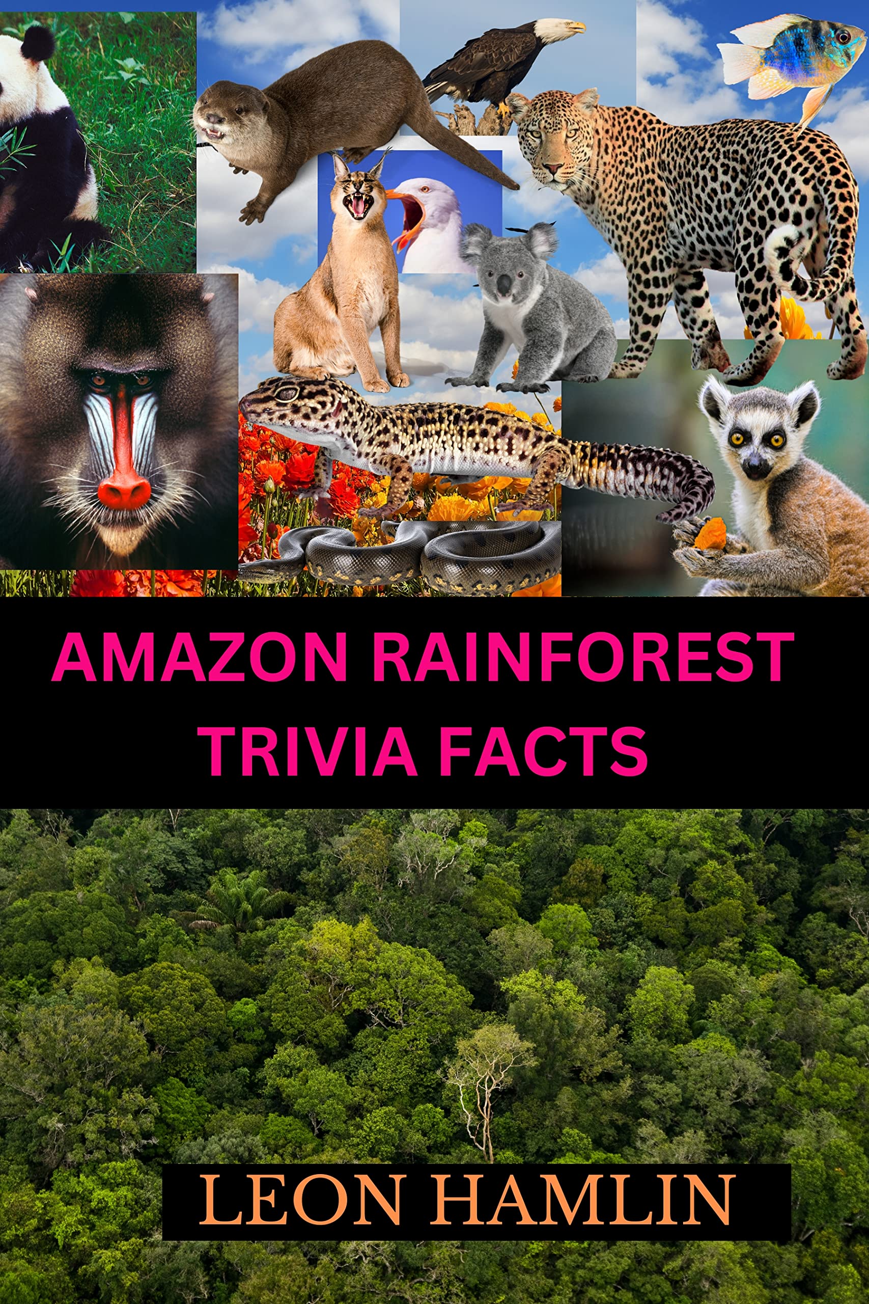 Amazon Rainforest Trivia Facts Unveiling Amazing and MindBlowing