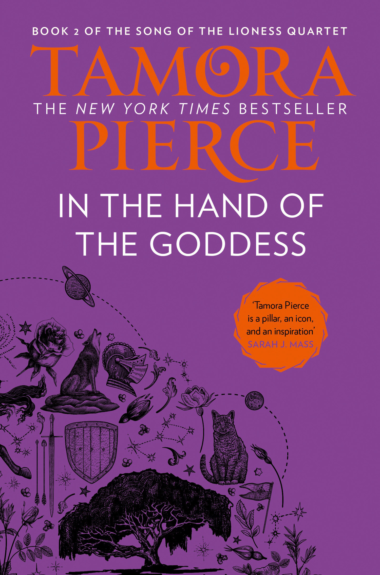 In the Hand of the Goddess (Song of the Lioness, #2)