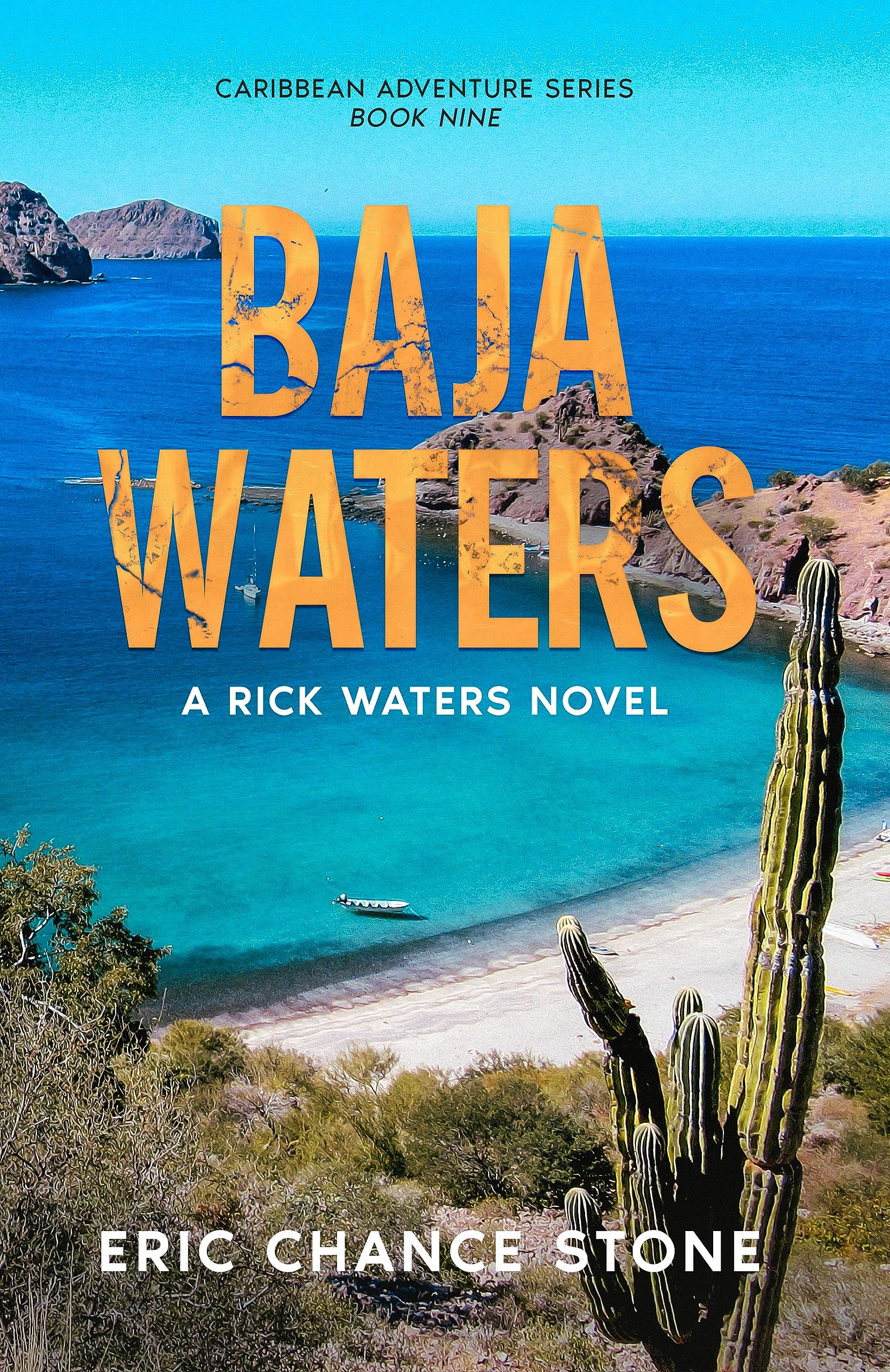 Baja Waters: A Rick Waters Novel