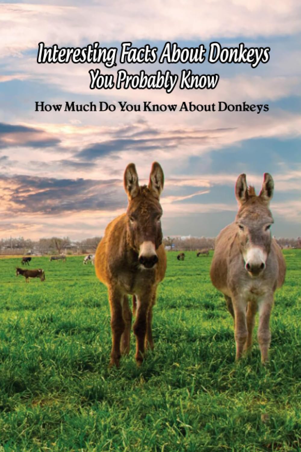 Interesting Facts About Donkeys You Probably Know How Much Do You Know
