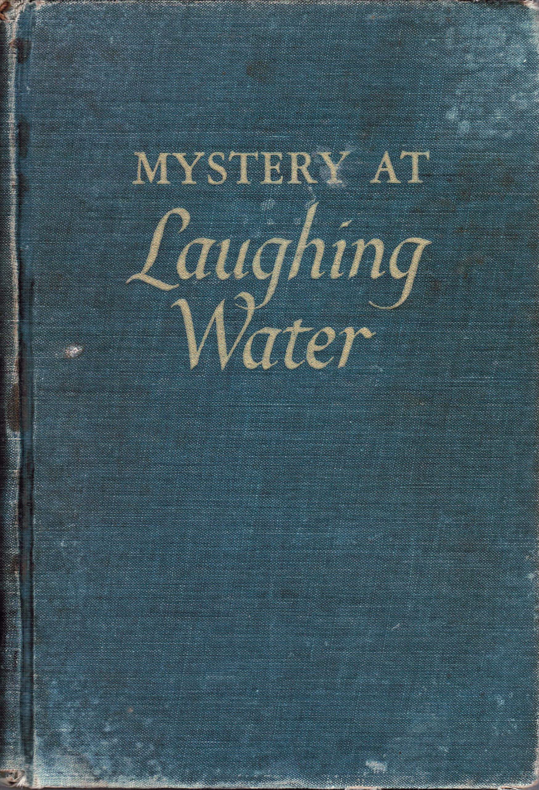 Why Do Water Bugs Chase You? The Surprising Truth Giant water bugs are fierce and fearless predators