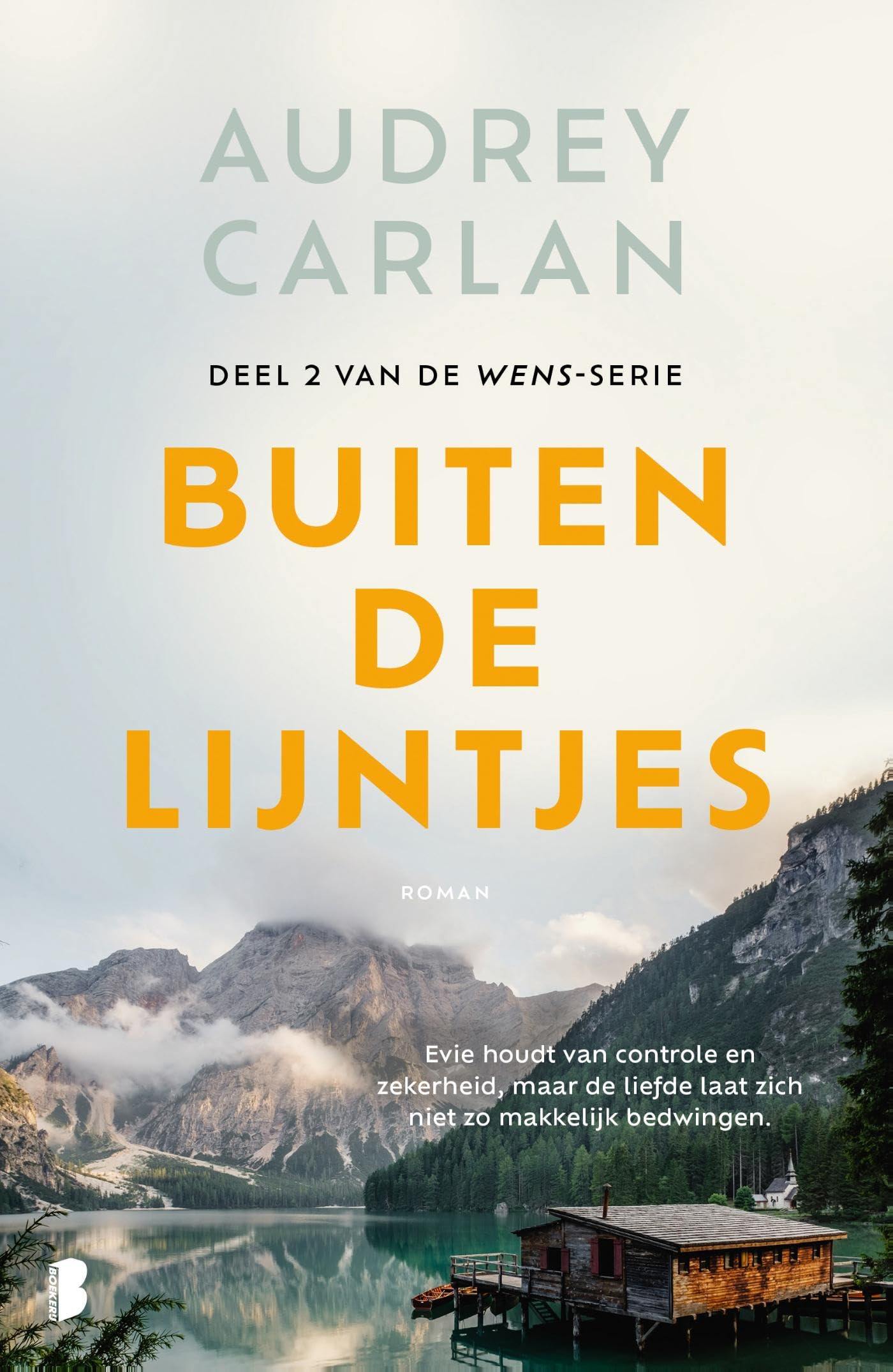 Buiten de lijntjes (Wens Book 2)