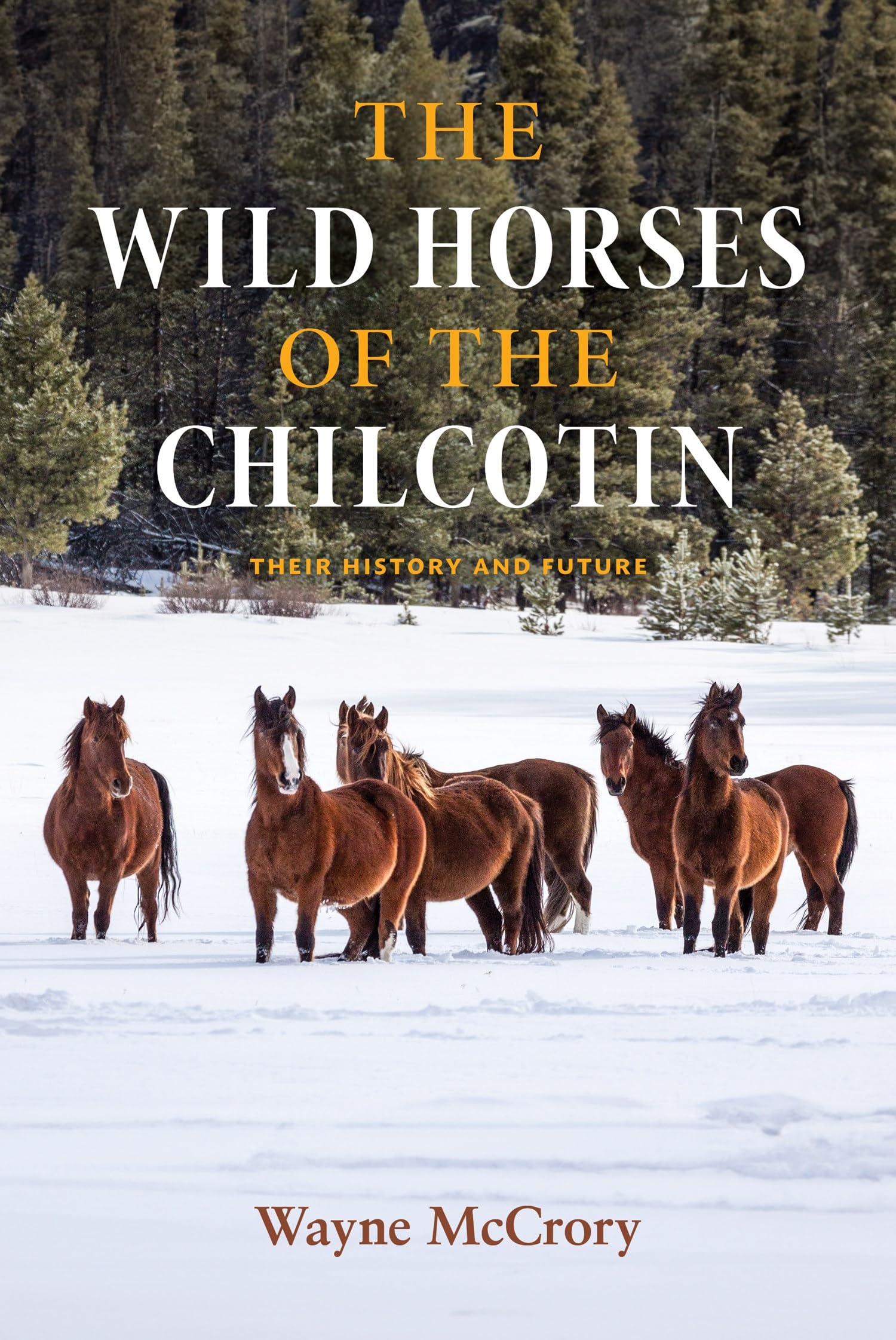 The Wild Horses of the Chilcotin Their History and Future by Wayne