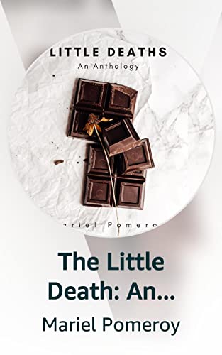 The Little Death book cover