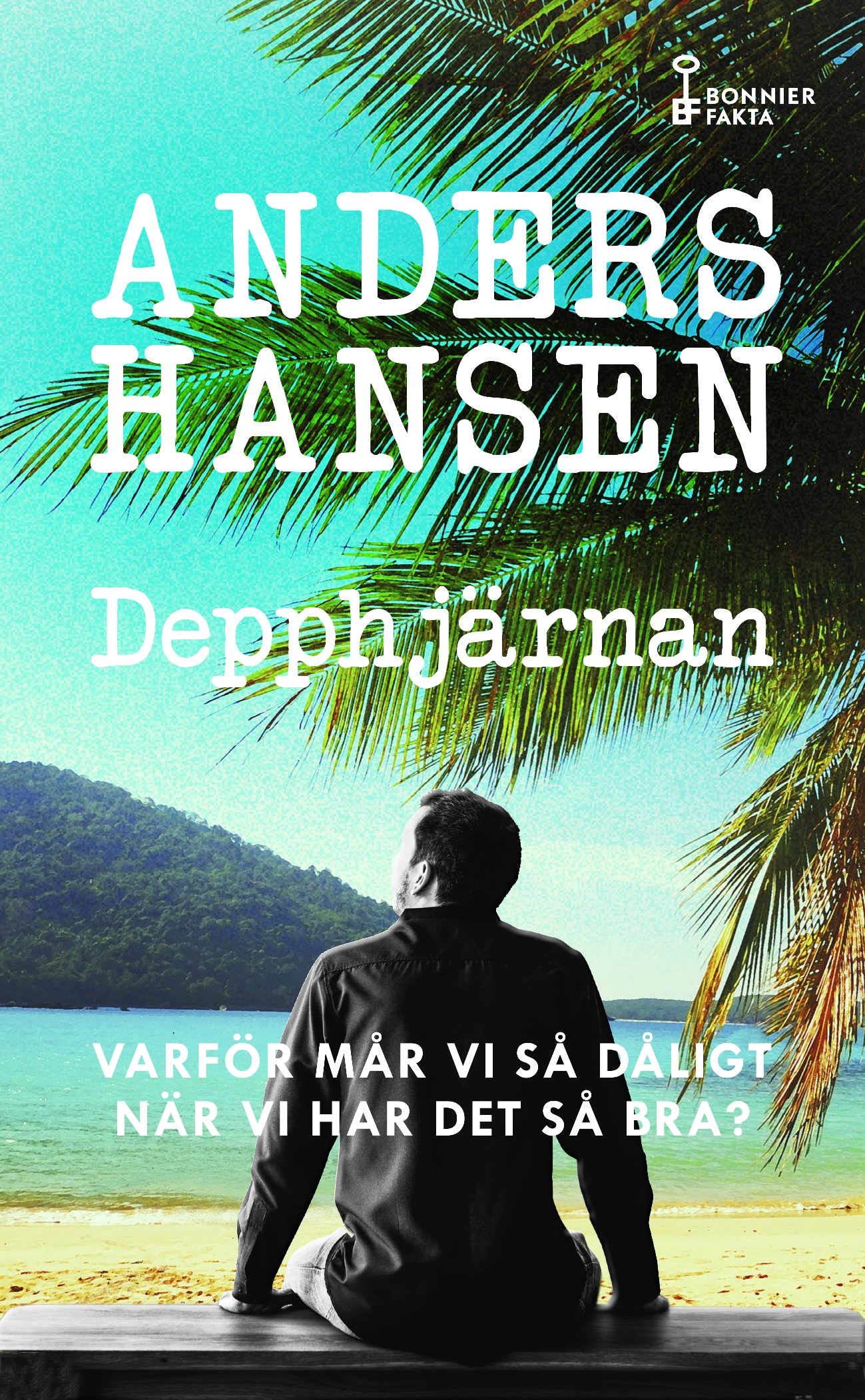 Depphjärnan book cover
