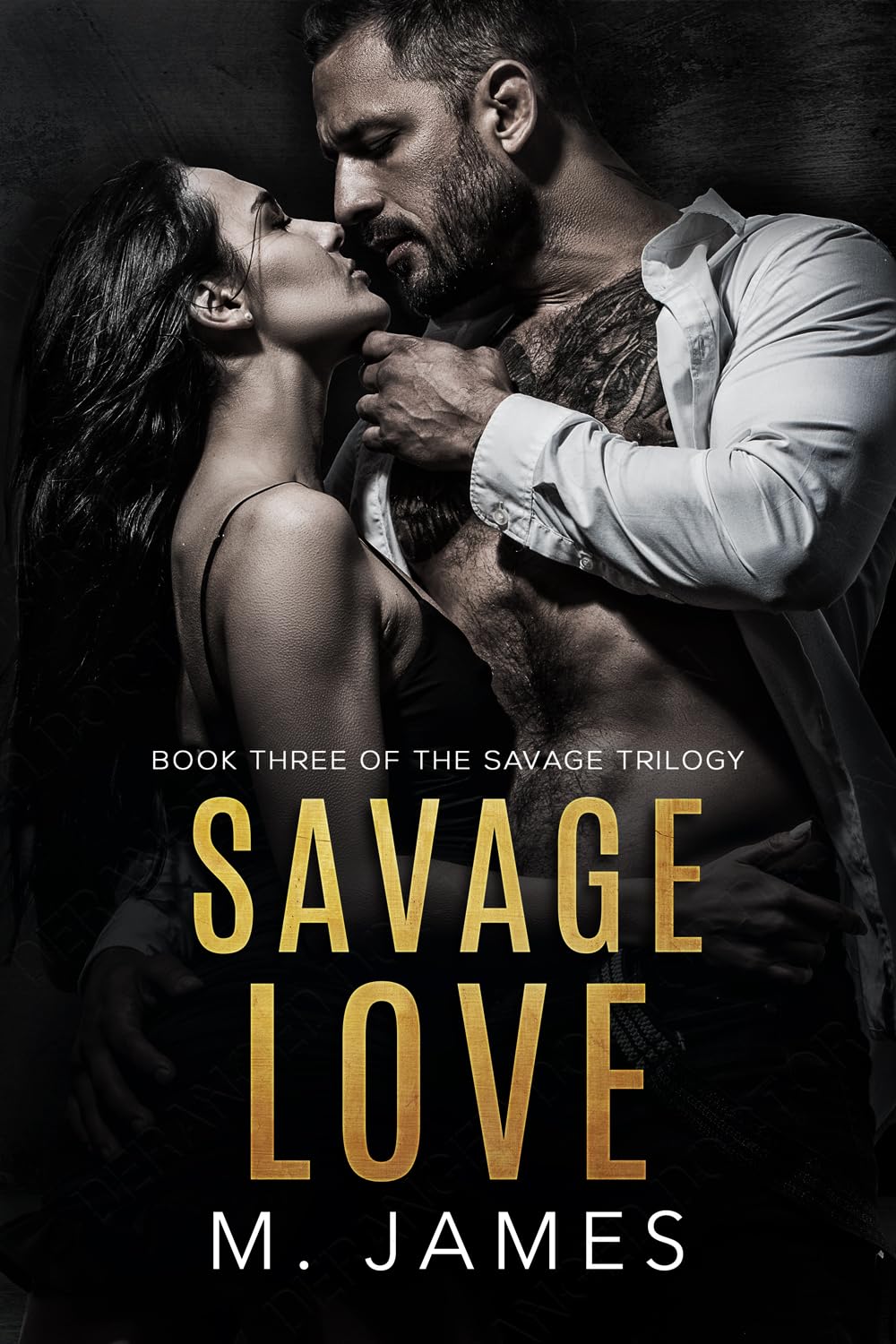 Savage Love book cover