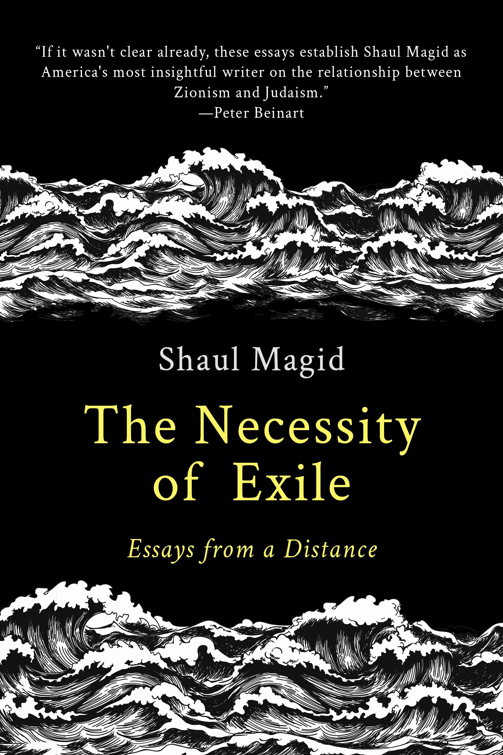 The Necessity of Exile book cover