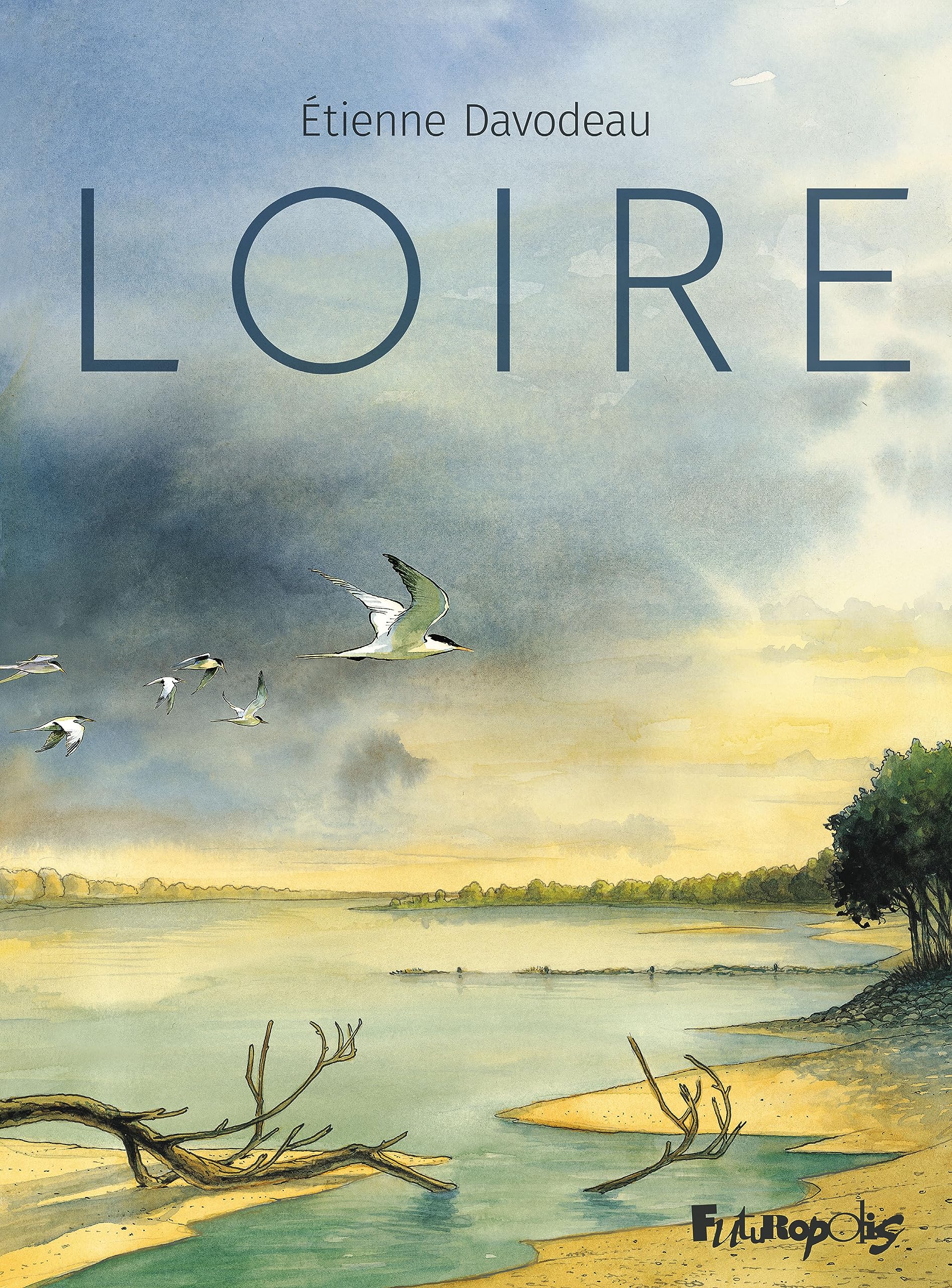 Loire book cover