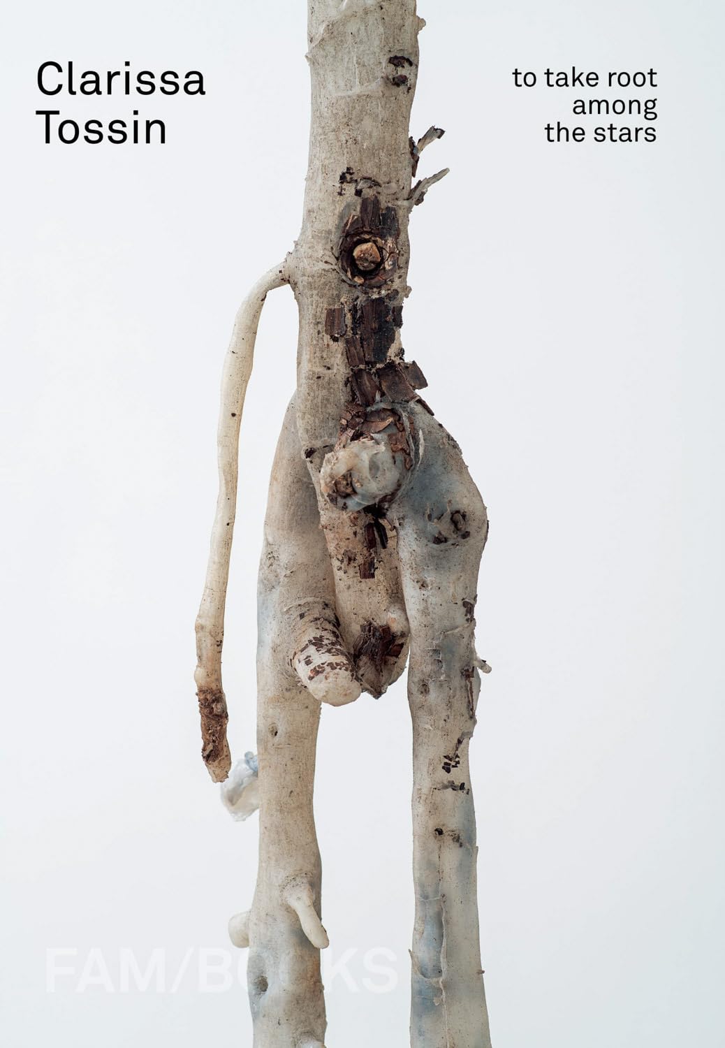 Clarissa Tossin To Take Root among the Stars by Clarissa Tossin