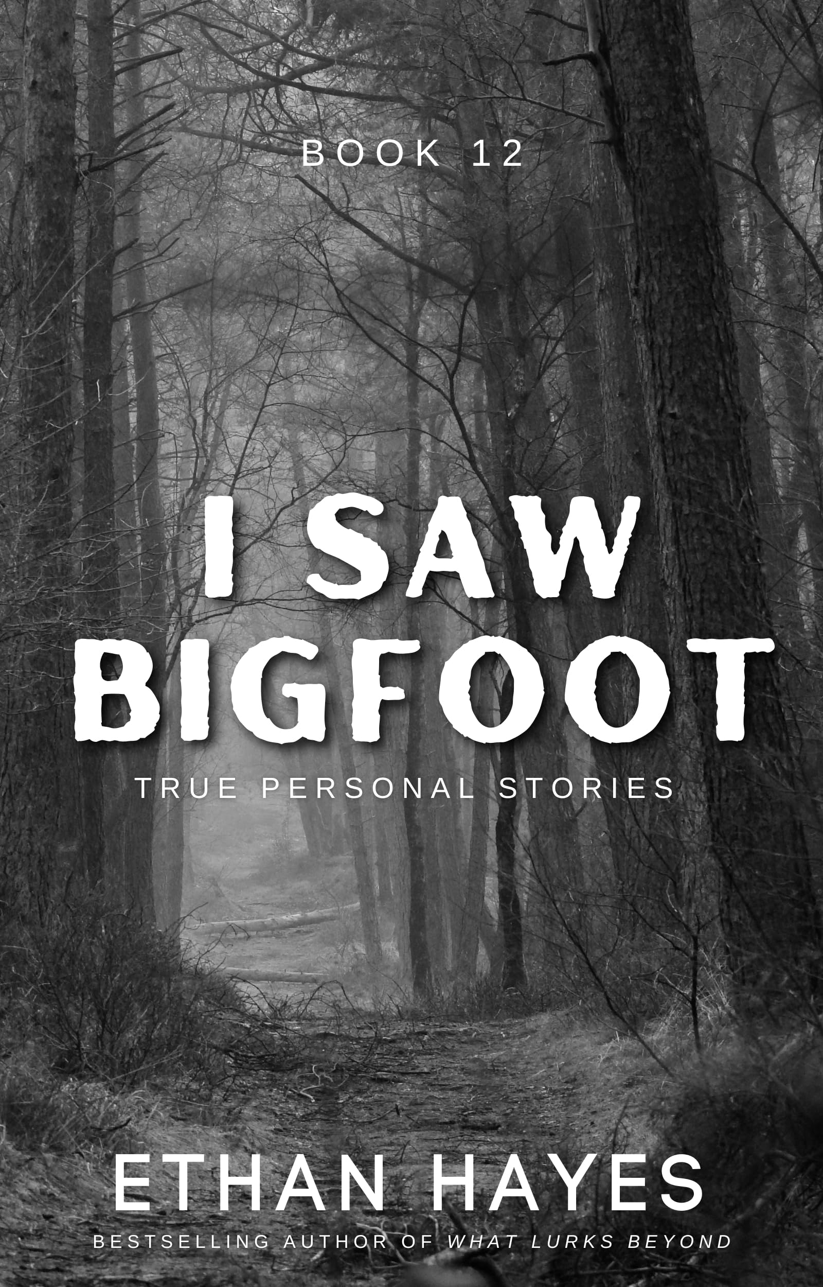 I Saw Bigfoot: Book 12