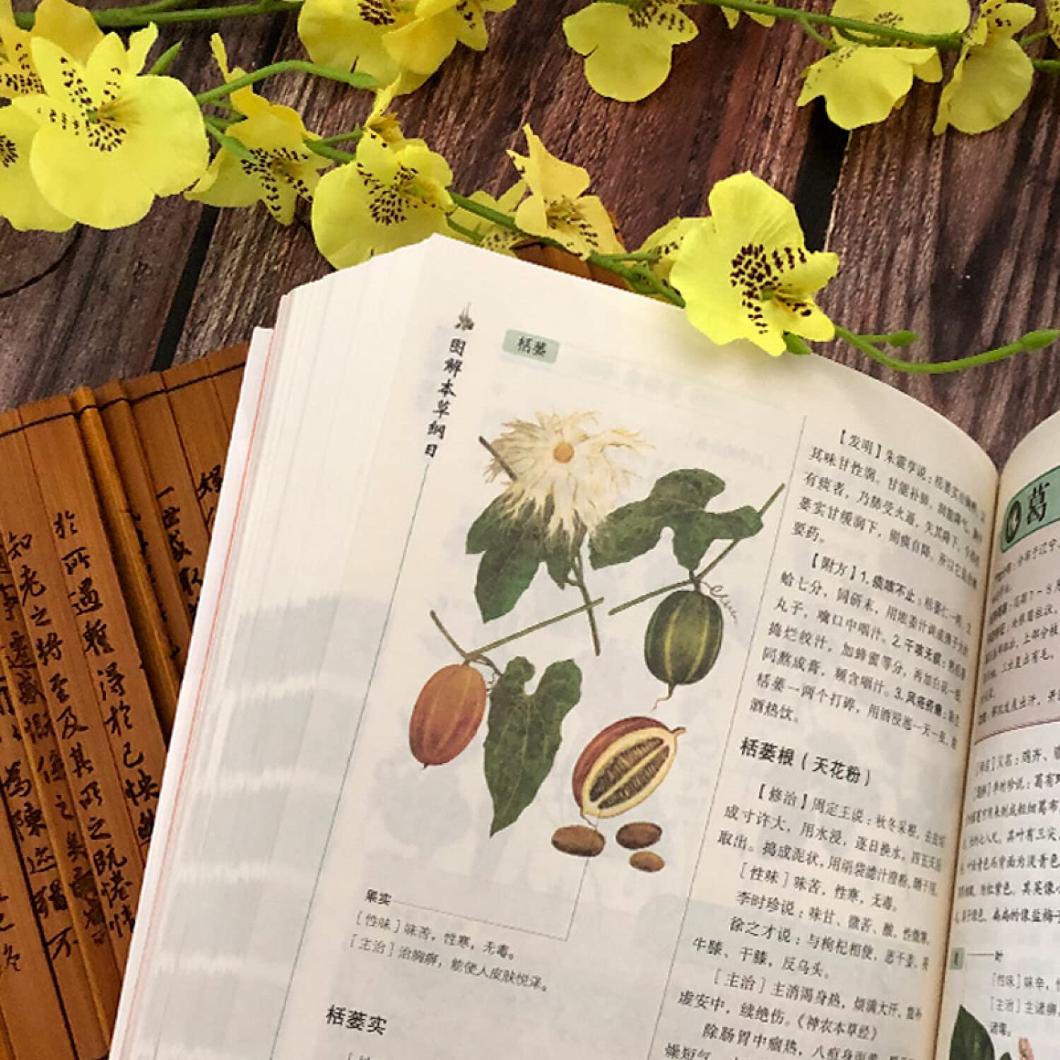 Graphic Compendium of Materia Medica by GAI GUO ZHONG DENG [ MING ] LI