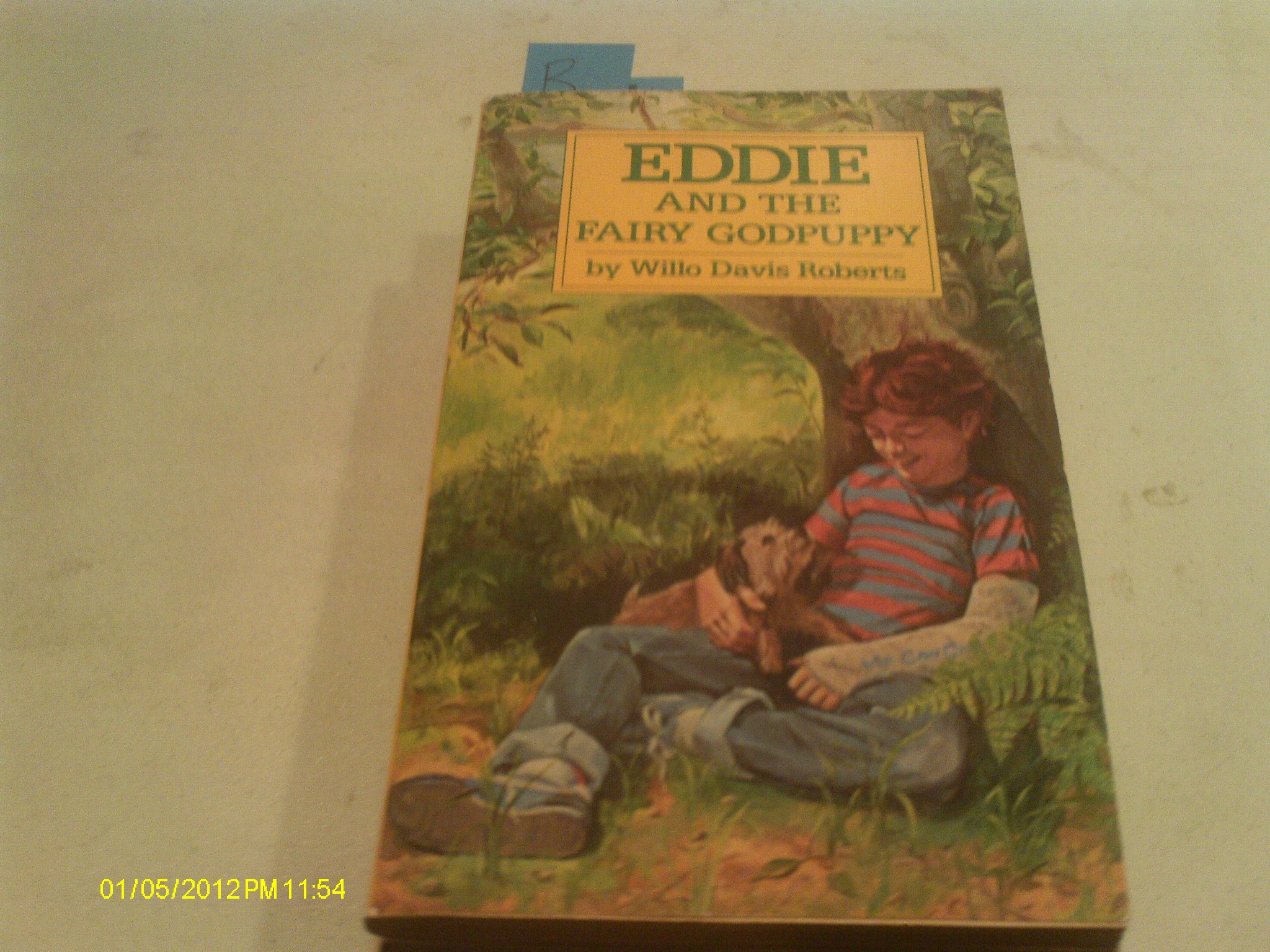 Eddie and the Fairy Godpuppy book cover