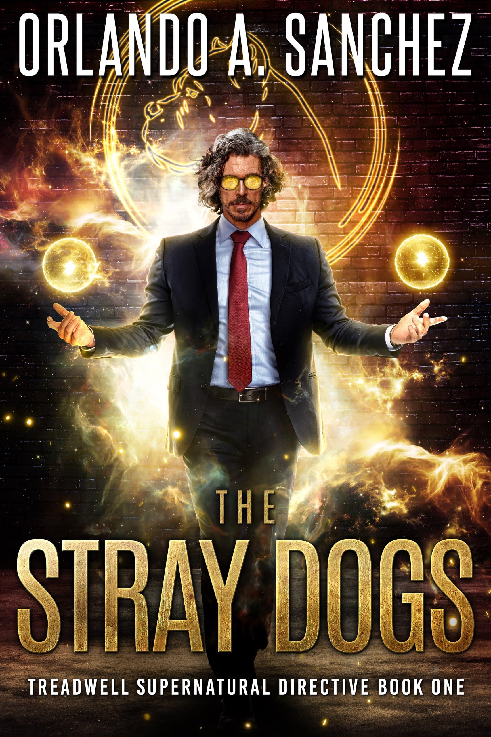 The Stray Dogs book cover