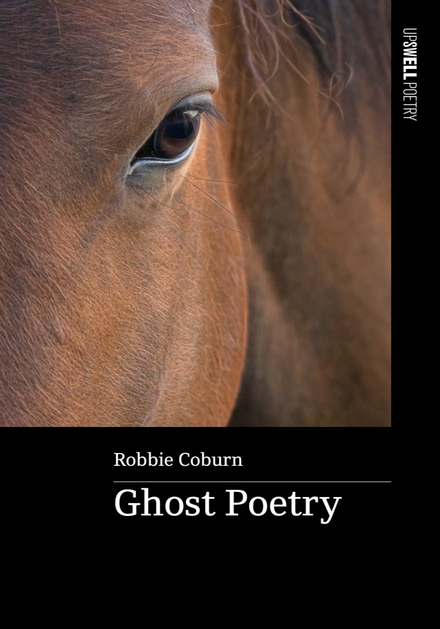 Ghost Poetry
