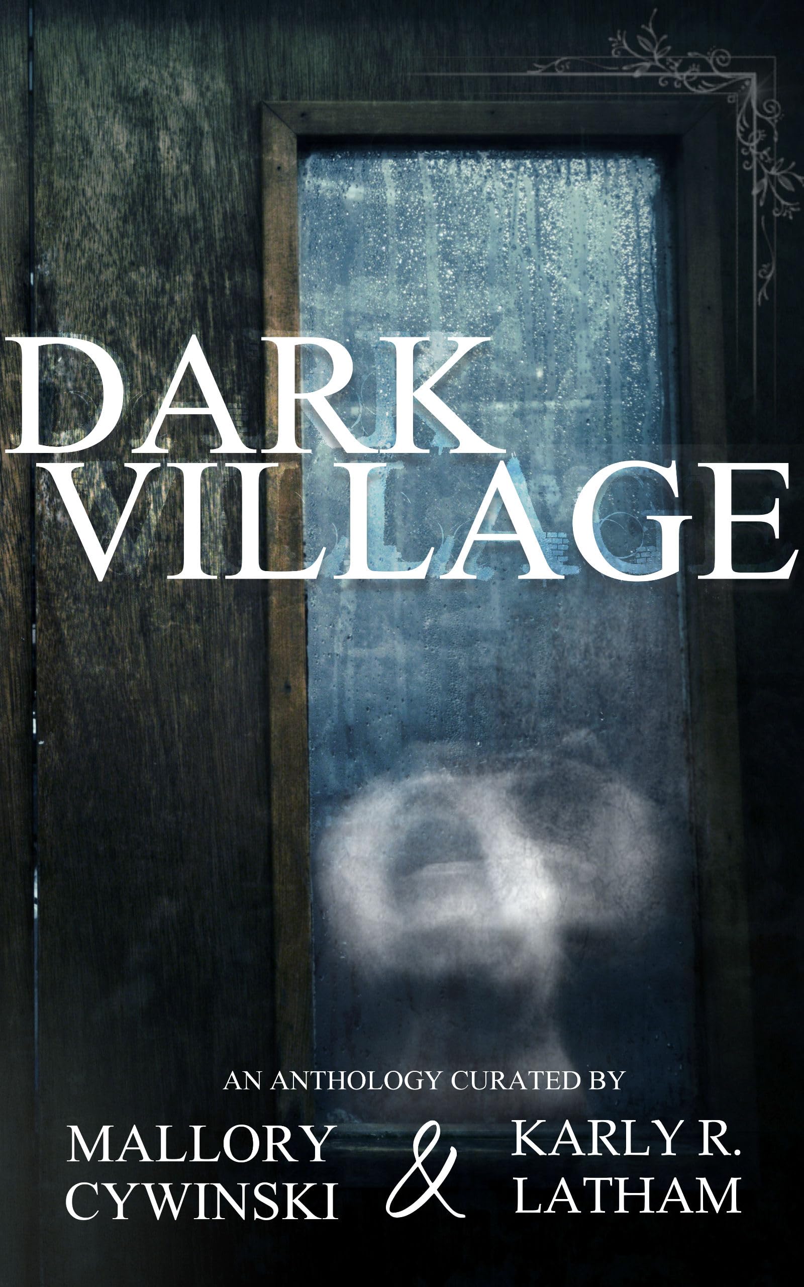 Dark Village book cover