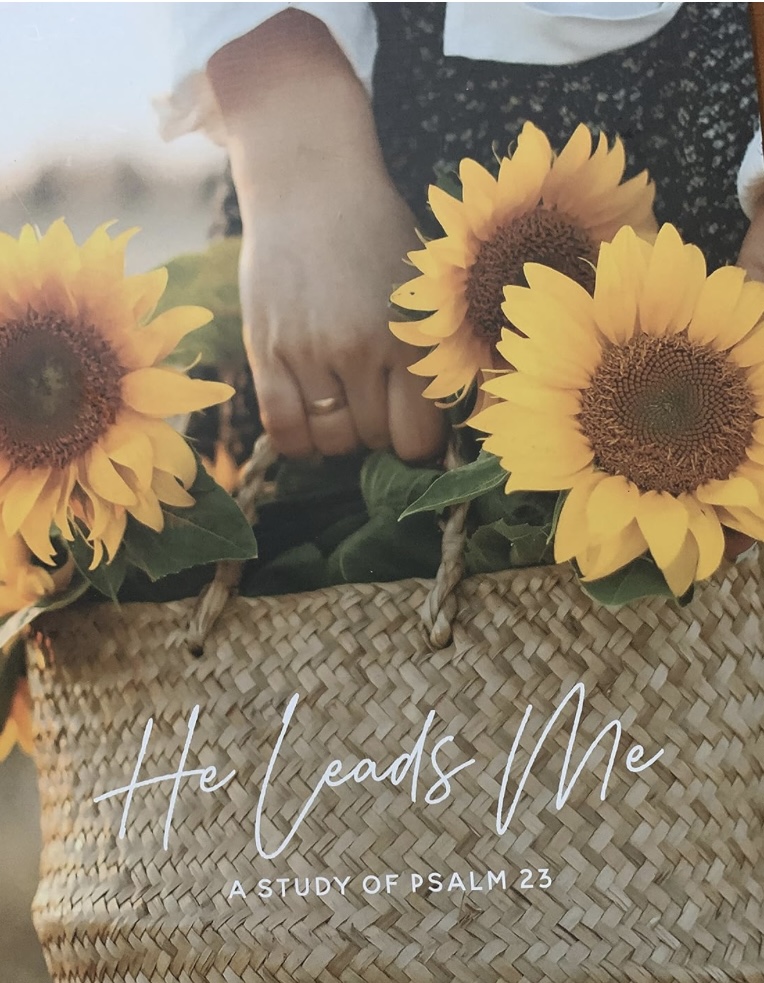 He Leads Me: A Study of Psalm 23