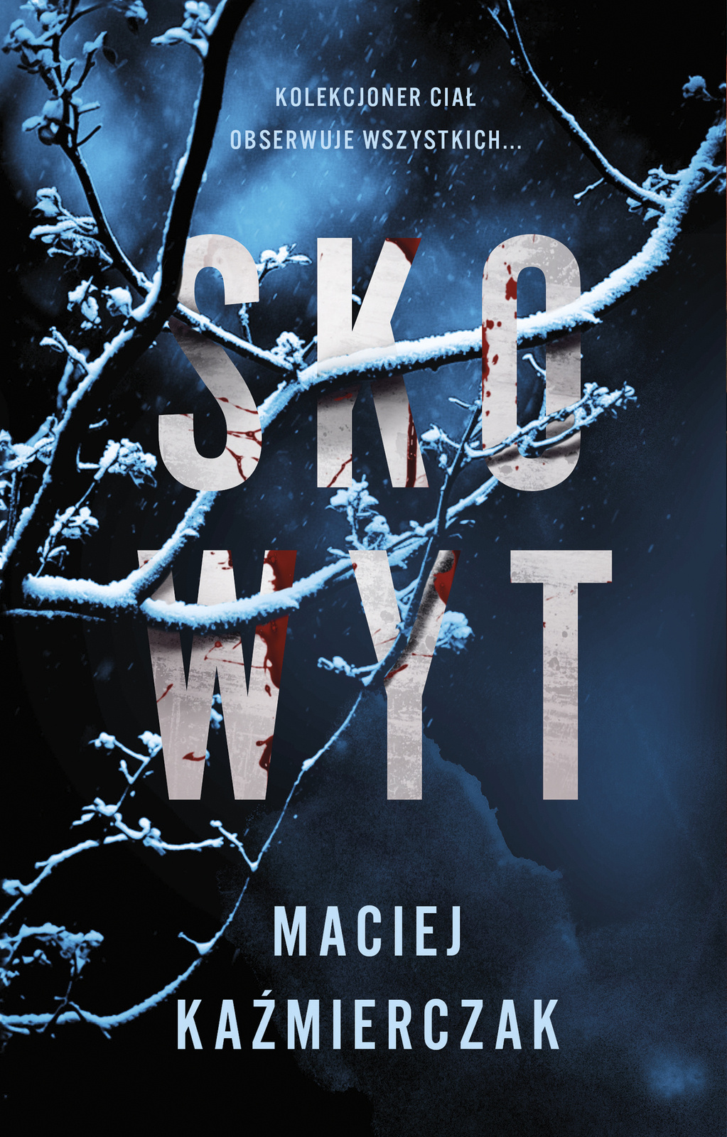 Robert Foks book cover 2