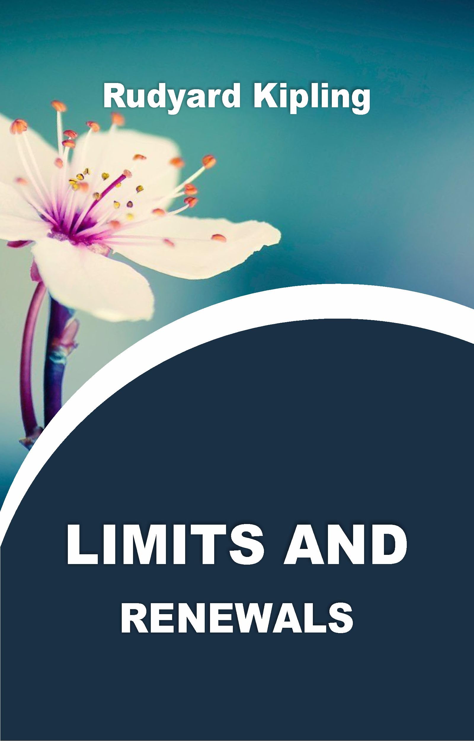 LIMITS AND RENEWALS book cover