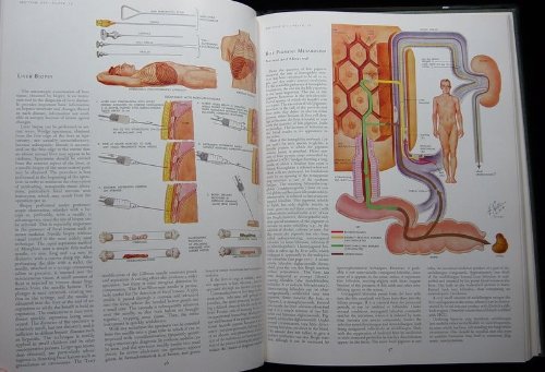 The CIBA Collection of Medical Illustrations Volume 3 Digestive System ...