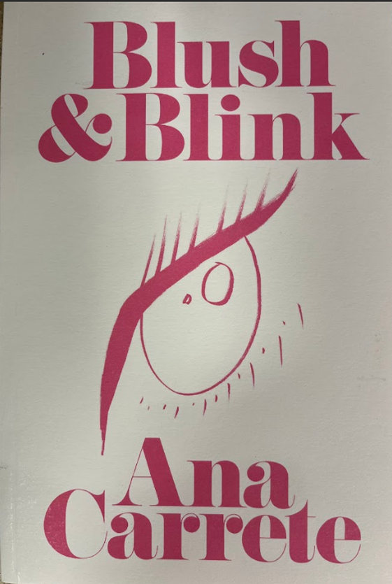 Blush & Blink book cover