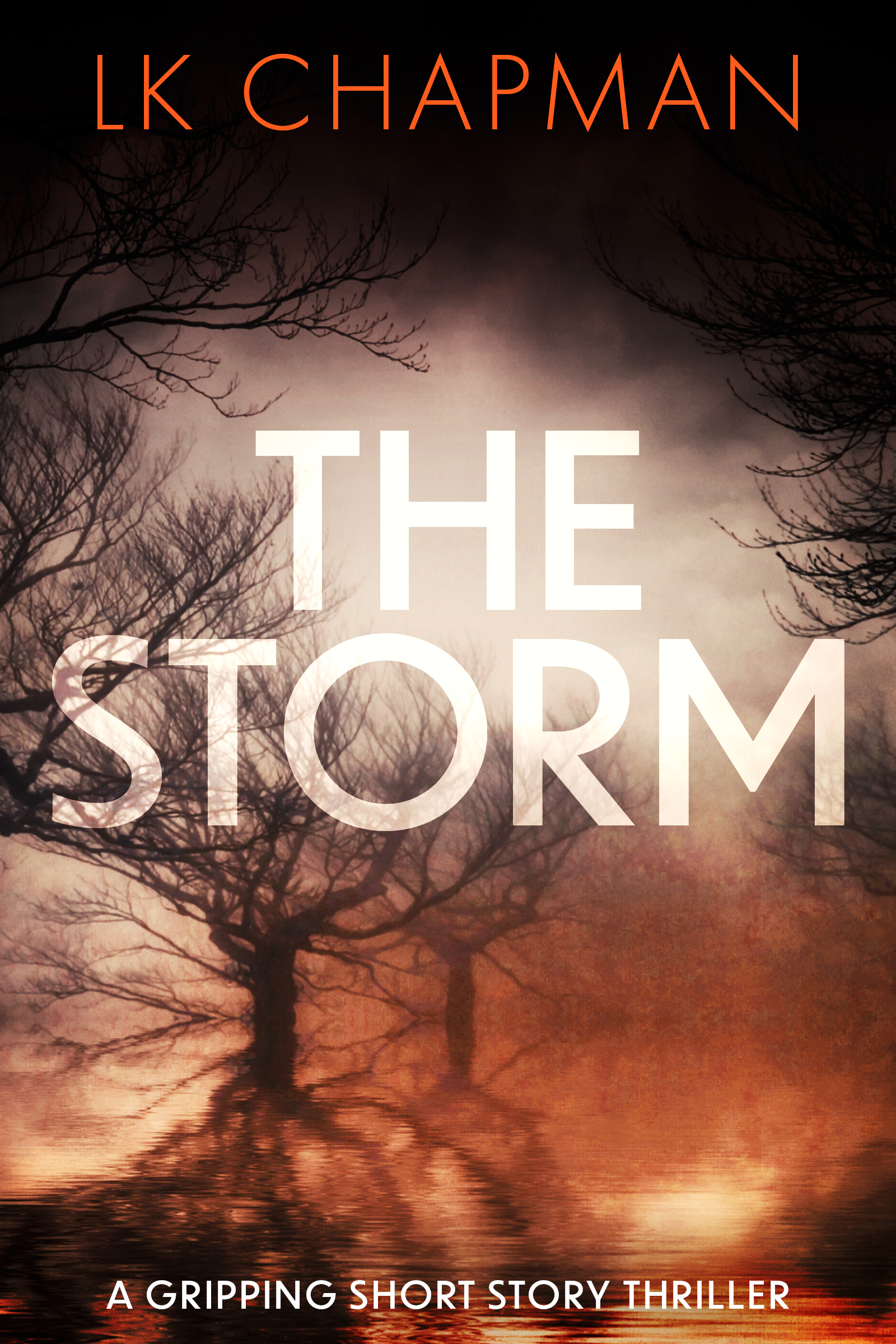 The Storm