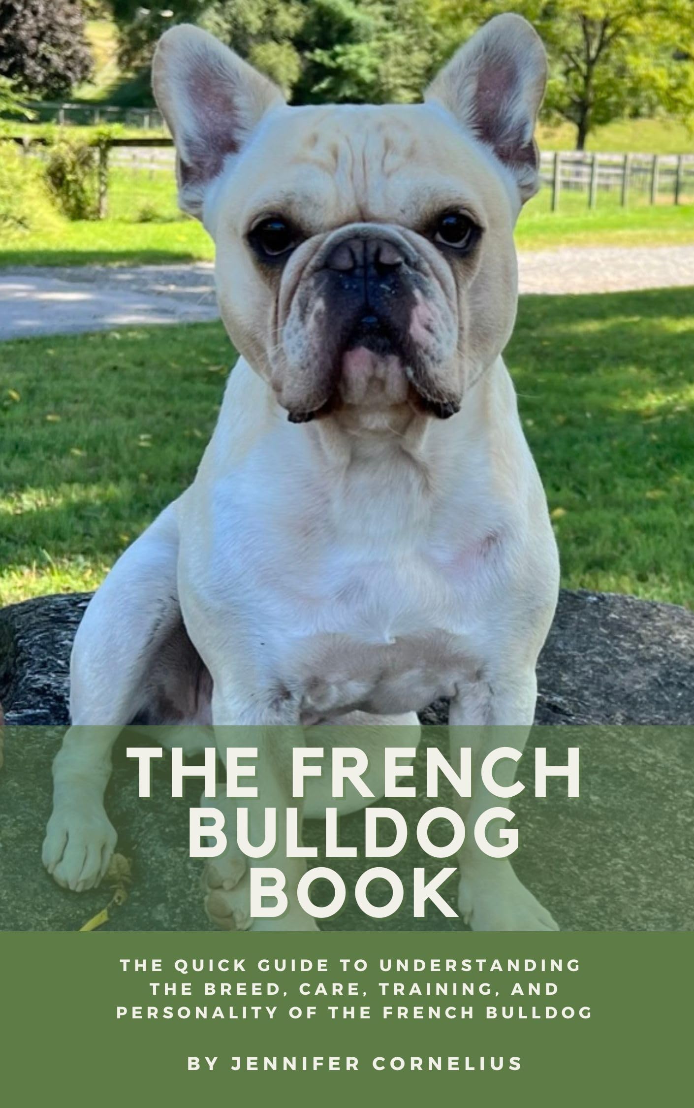 Christmas french bulldog book