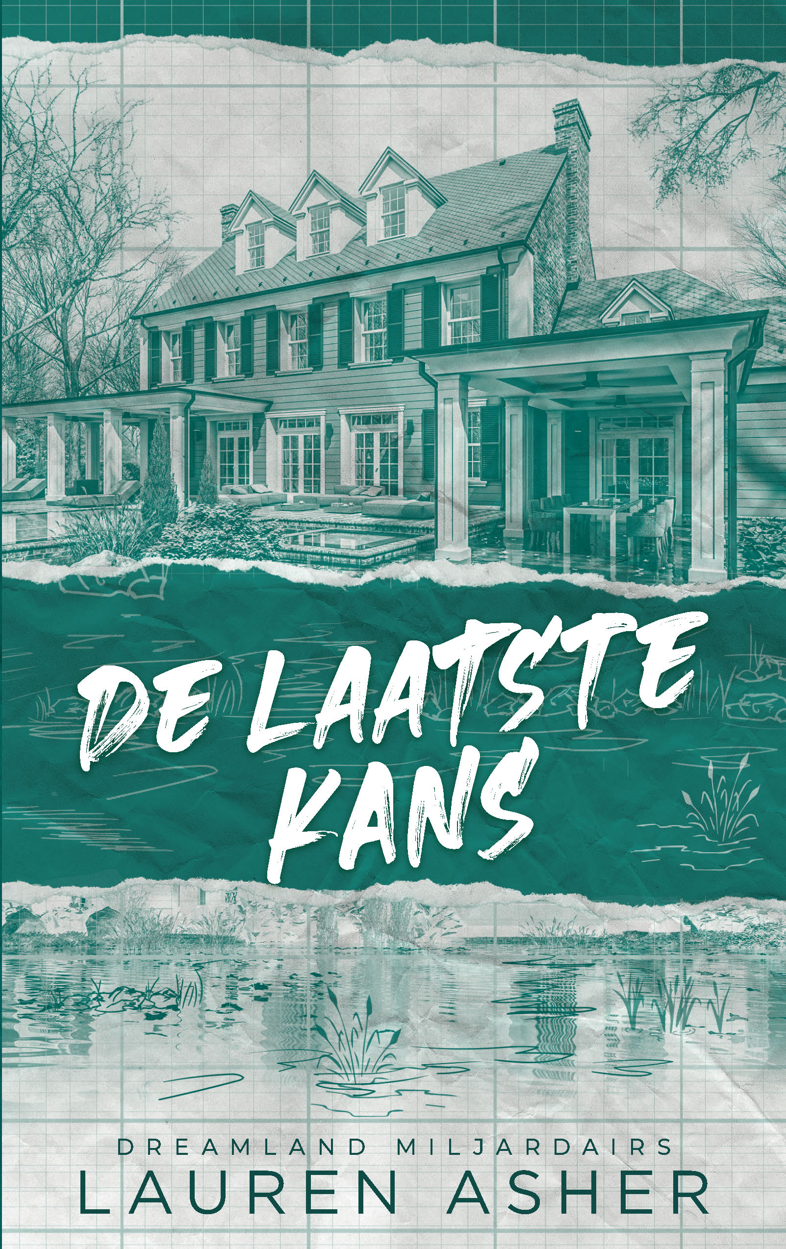 De laatste kans (Dreamland Billionaires #3)