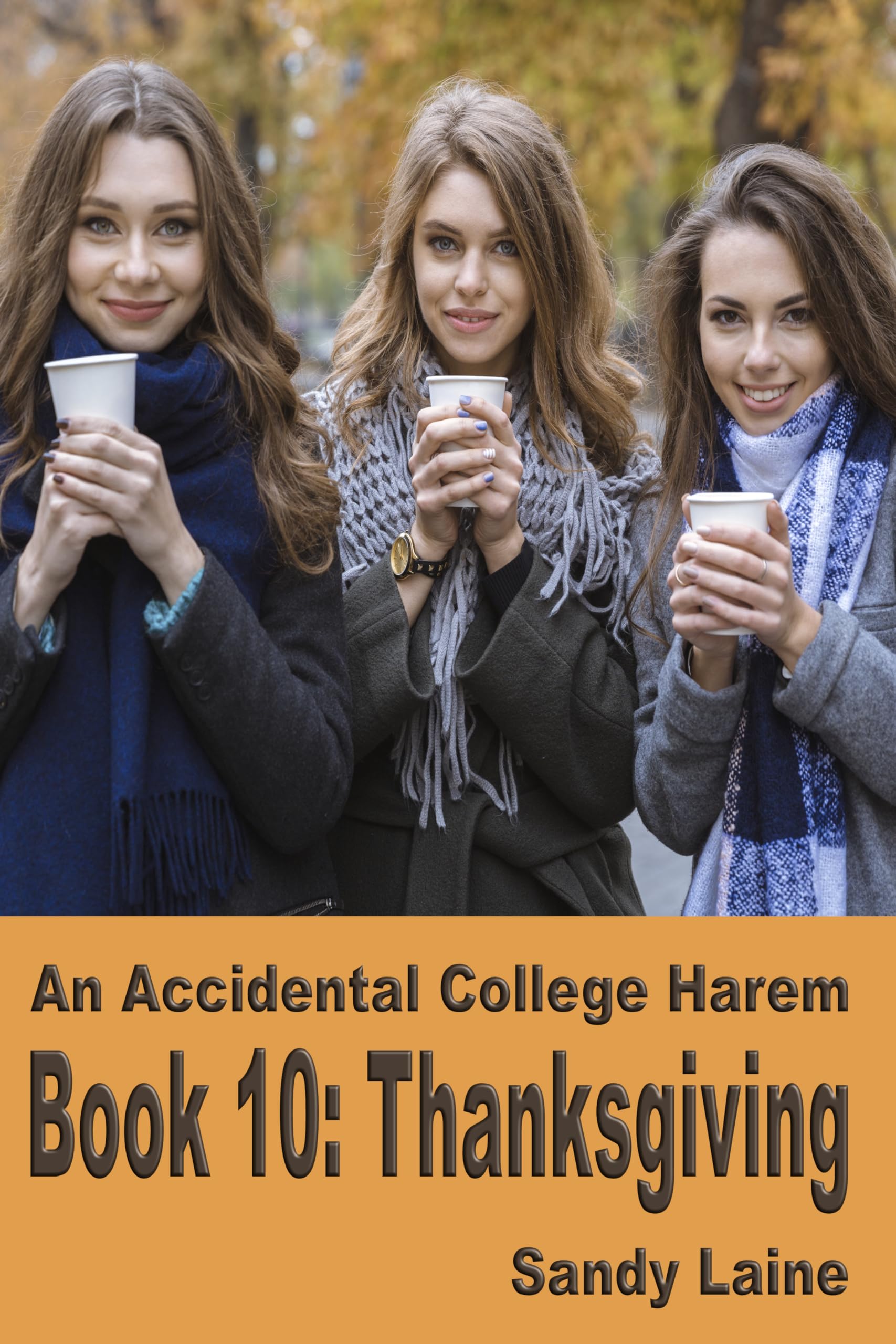 An Accidental College Harem Book 10: Thanksgiving: A college-age fun harem romance for men