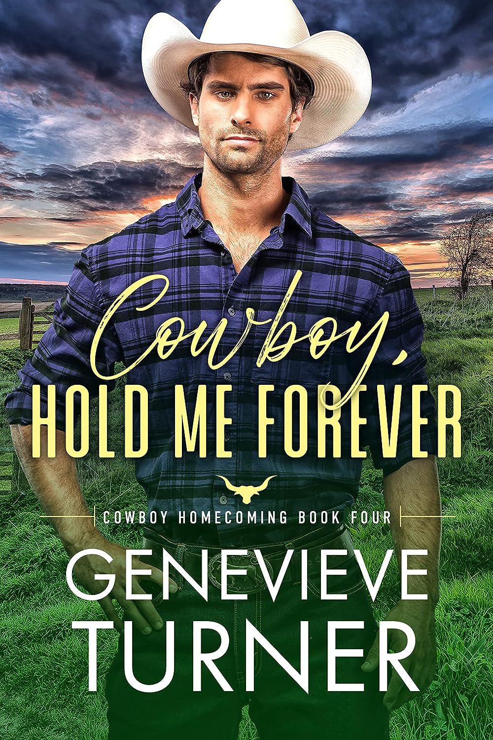 Cowboy, Hold Me Forever book cover