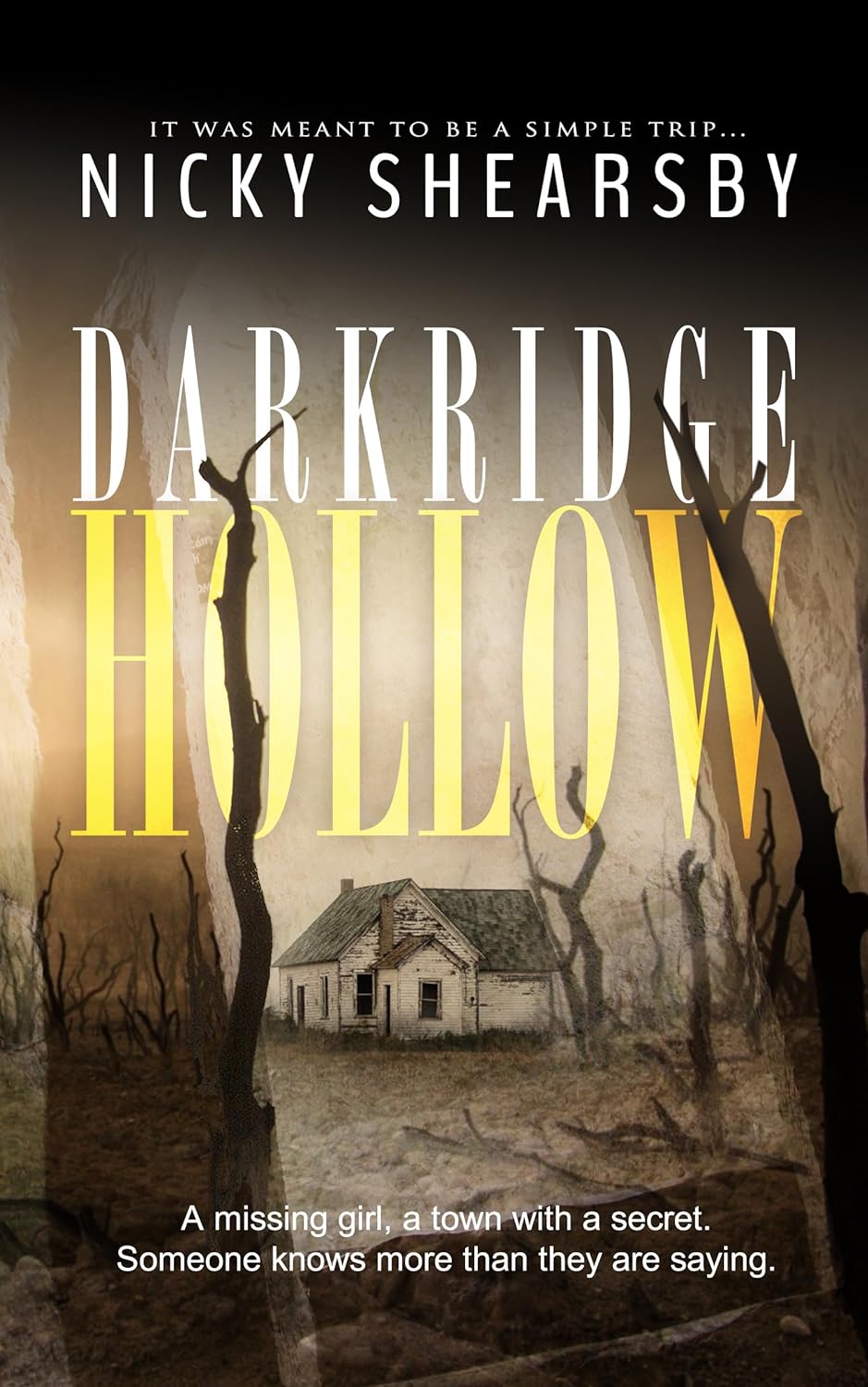 Darkridge Hollow: A dark and fast-paced thriller set deep in Midwest America